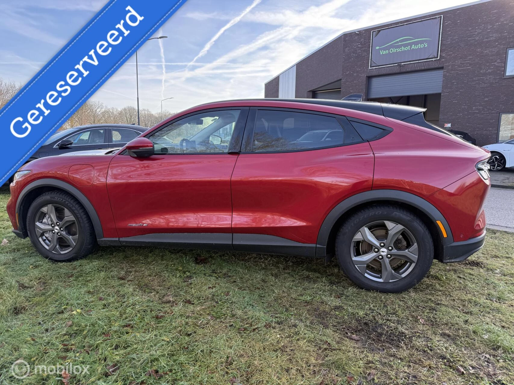 Hoofdafbeelding Ford Mustang Mach-E