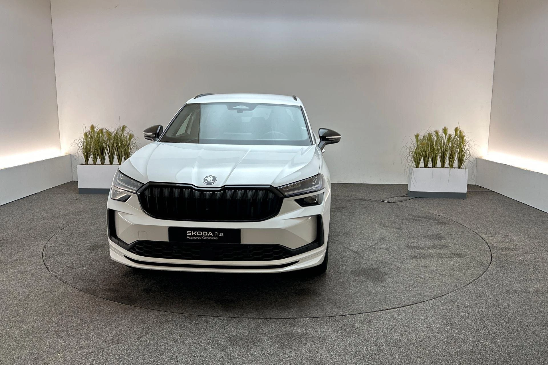 Hoofdafbeelding Škoda Kodiaq