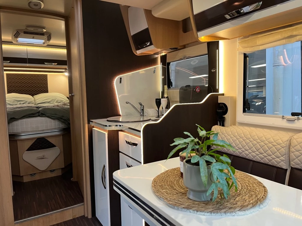 Hoofdafbeelding McLouis YEARLING