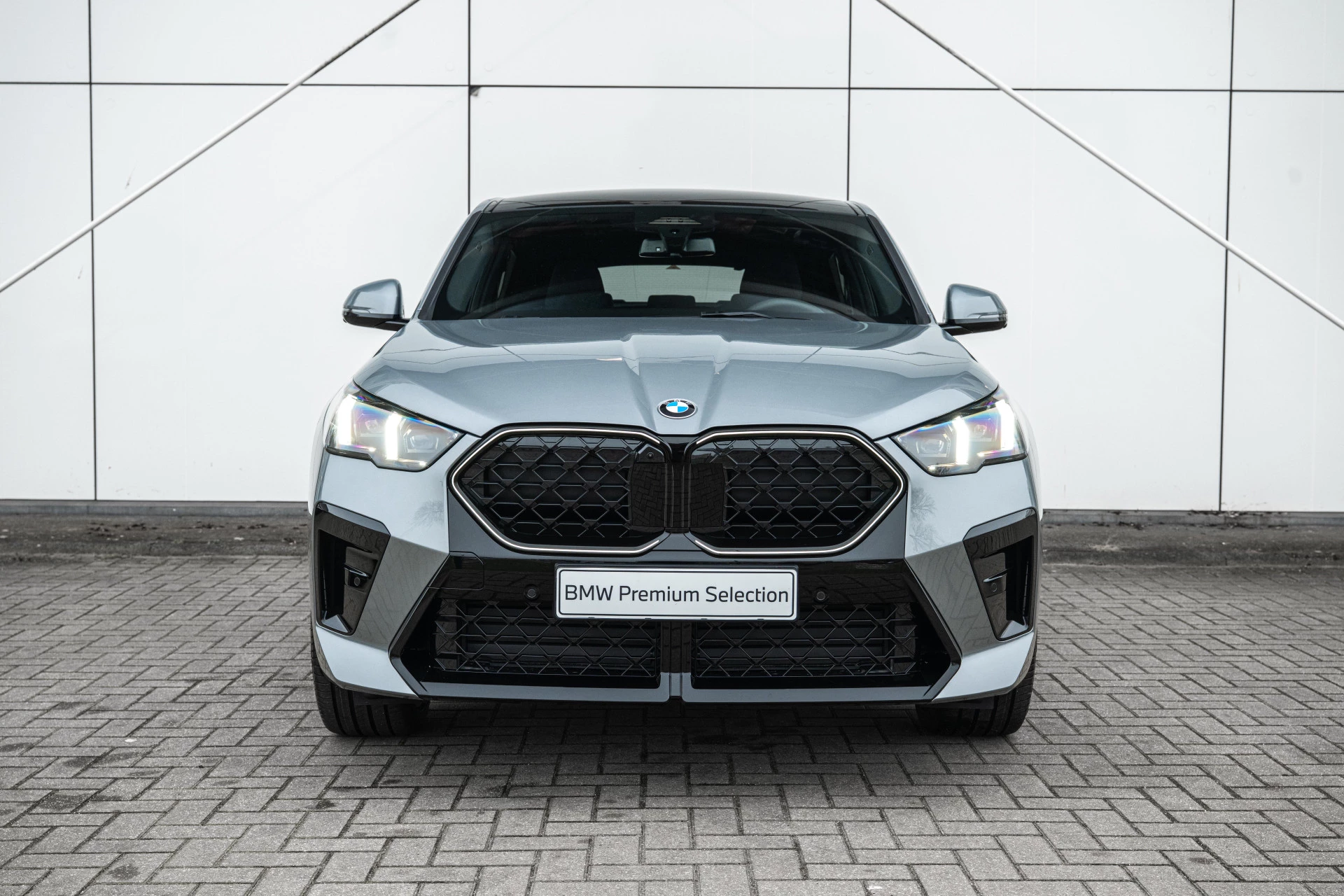 Hoofdafbeelding BMW X2