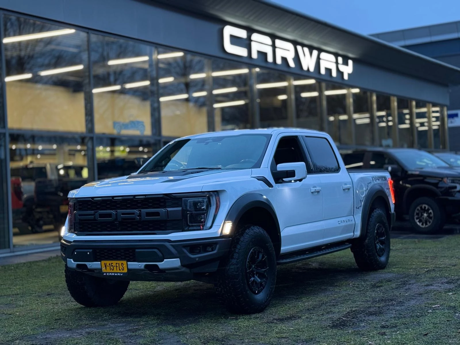 Hoofdafbeelding Ford F-150