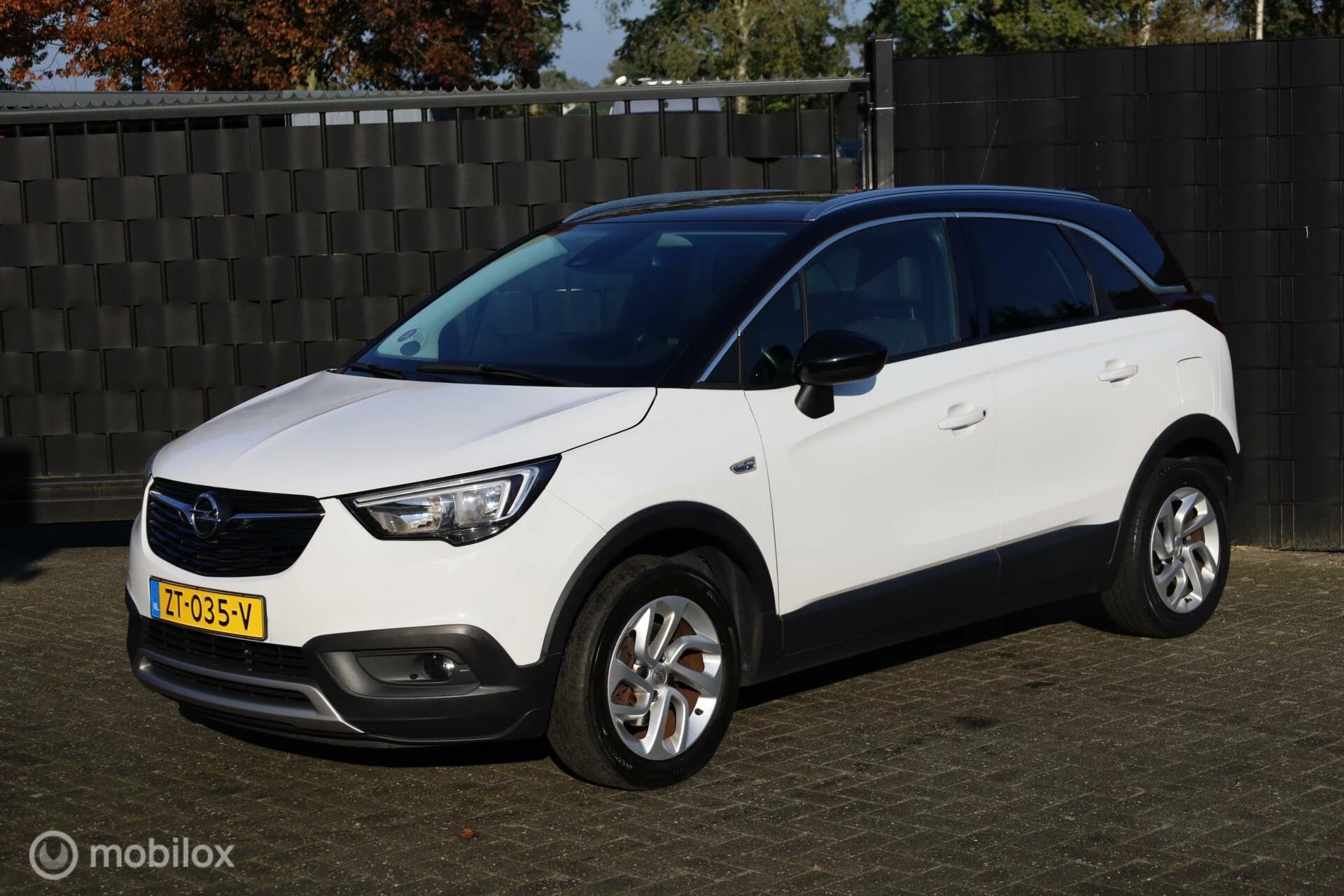 Hoofdafbeelding Opel Crossland X