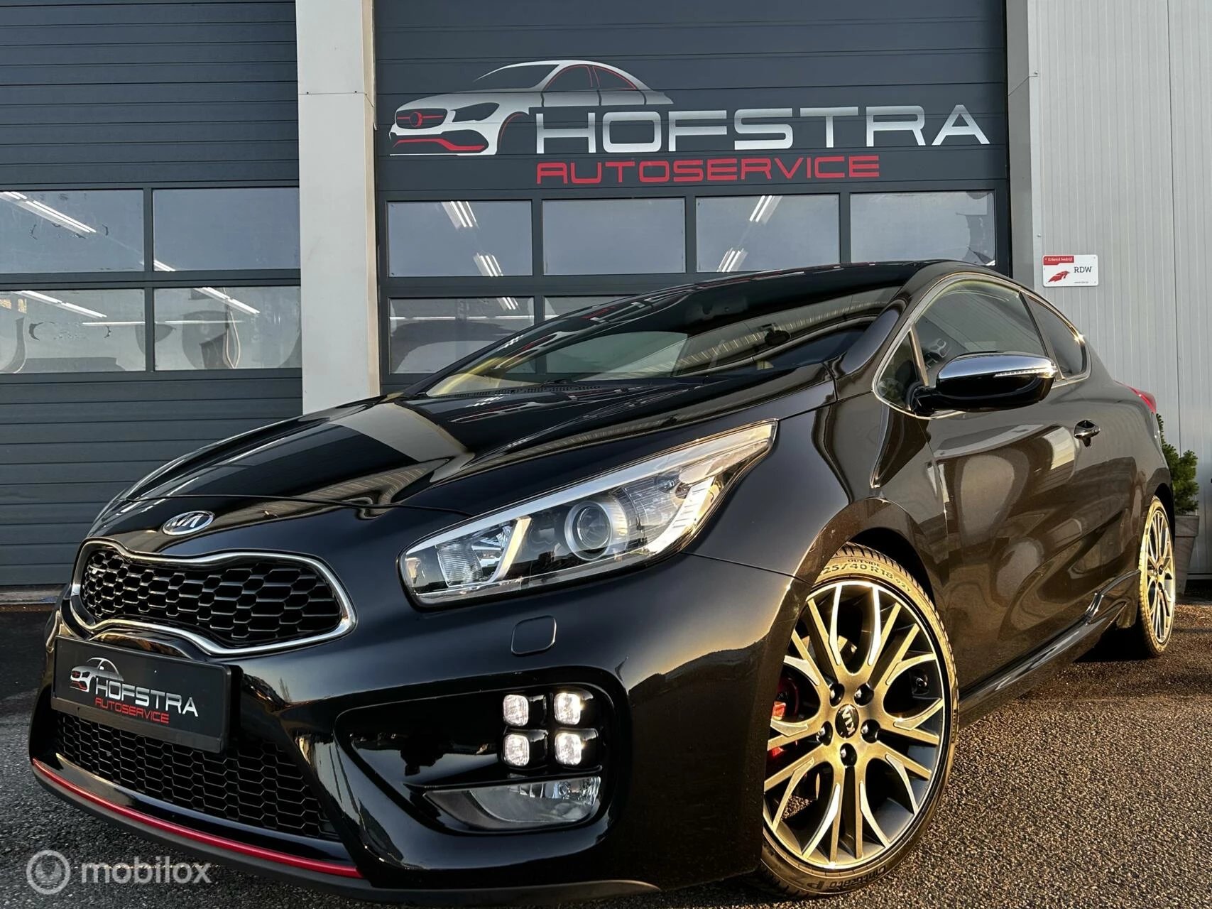 Hoofdafbeelding Kia pro_cee'd