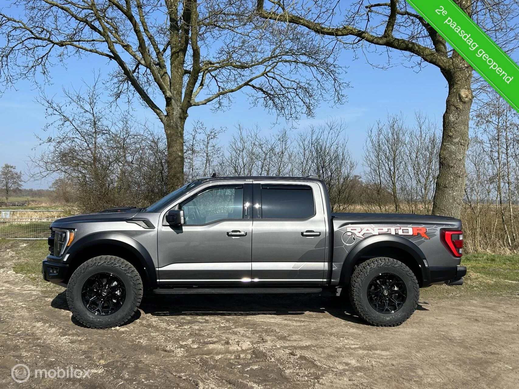 Hoofdafbeelding Ford F-150