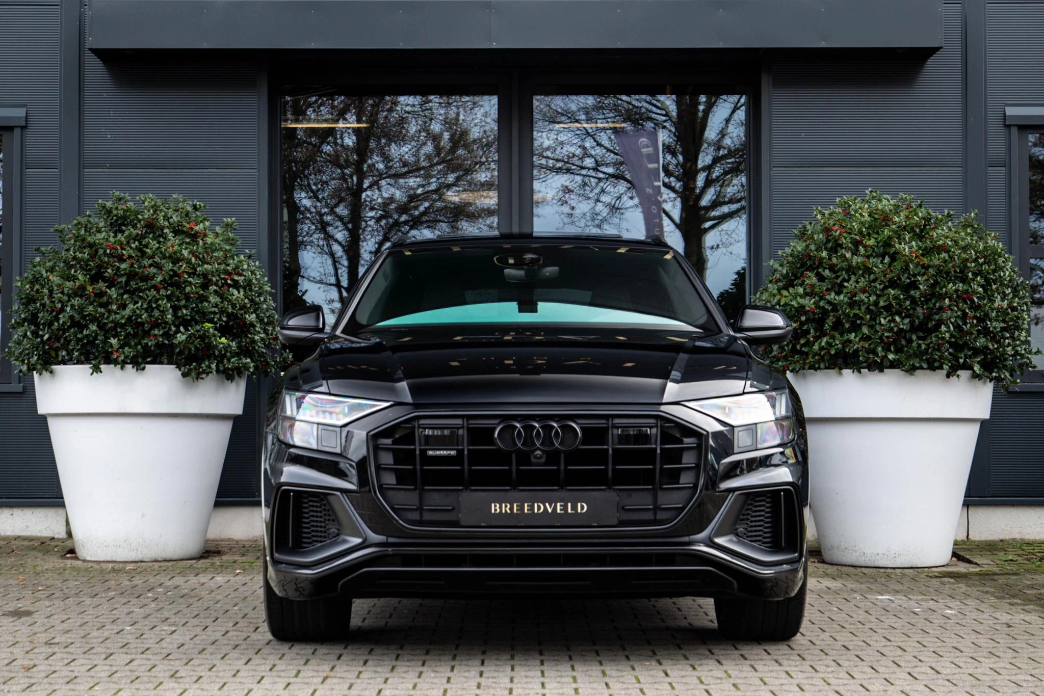 Hoofdafbeelding Audi Q8