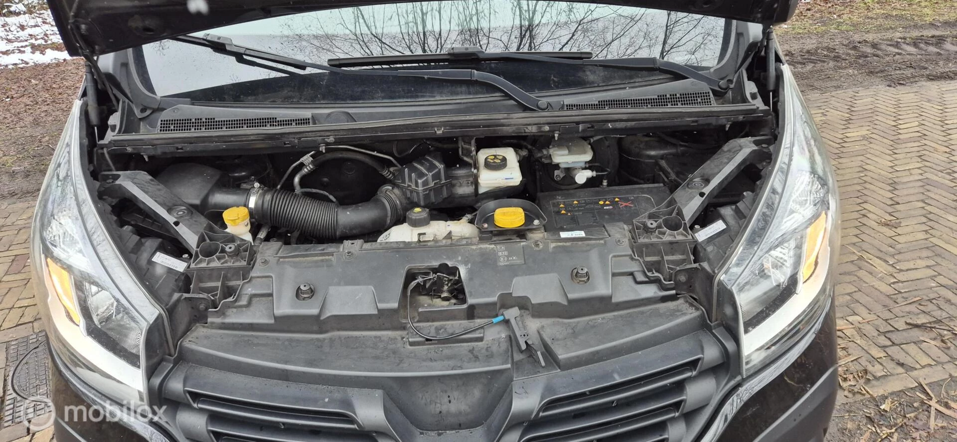 Hoofdafbeelding Renault Trafic