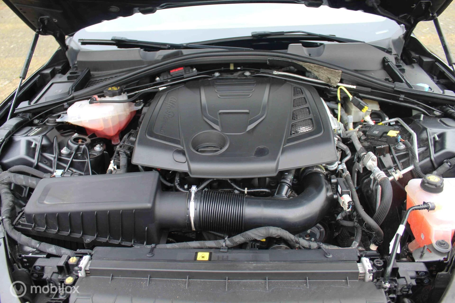 Hoofdafbeelding Alfa Romeo Giulia