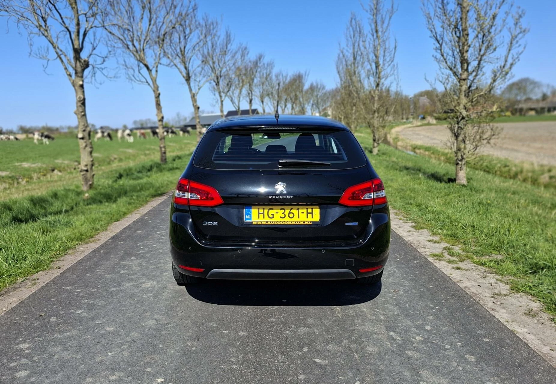 Hoofdafbeelding Peugeot 308