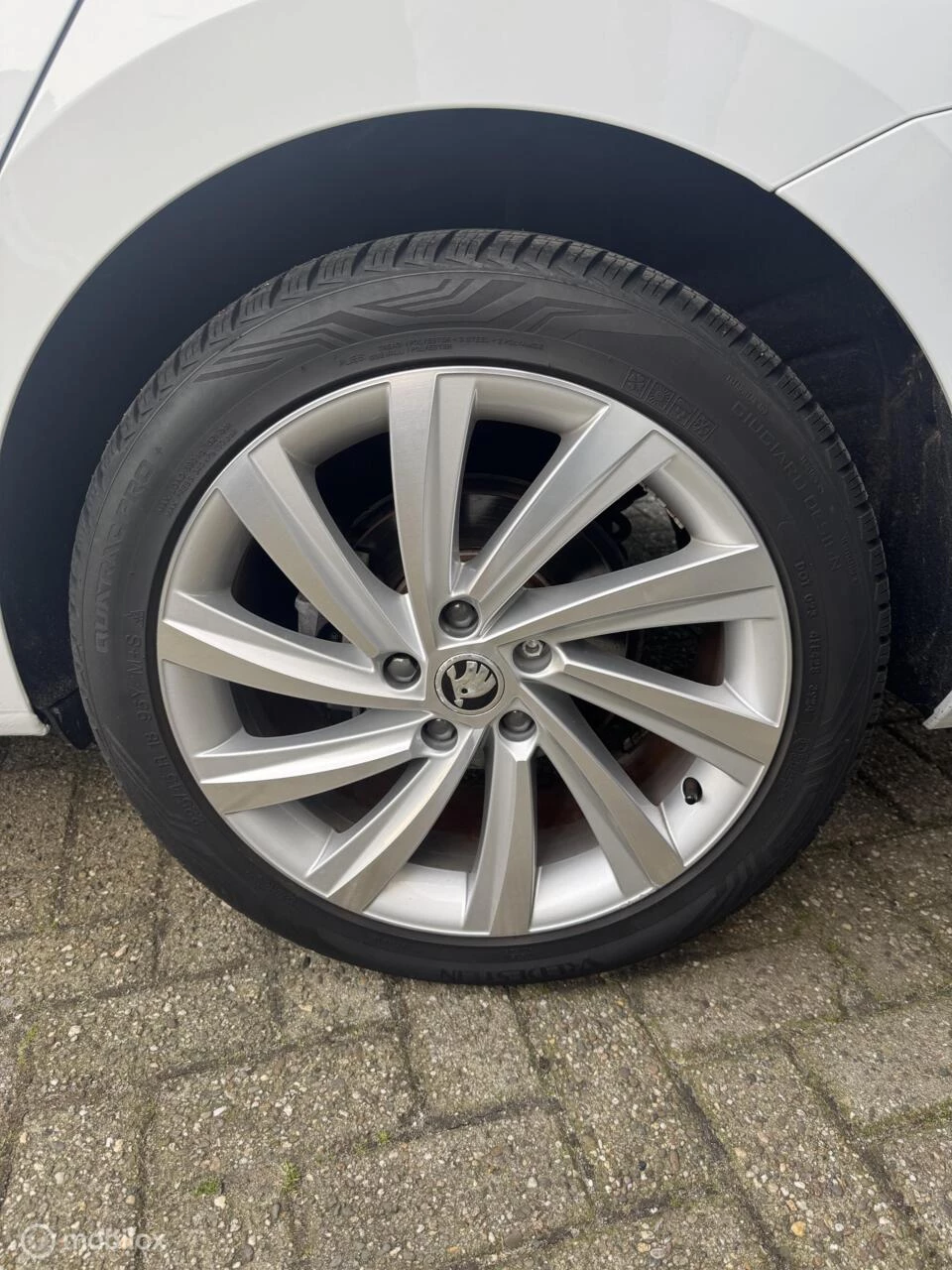 Hoofdafbeelding Škoda Octavia