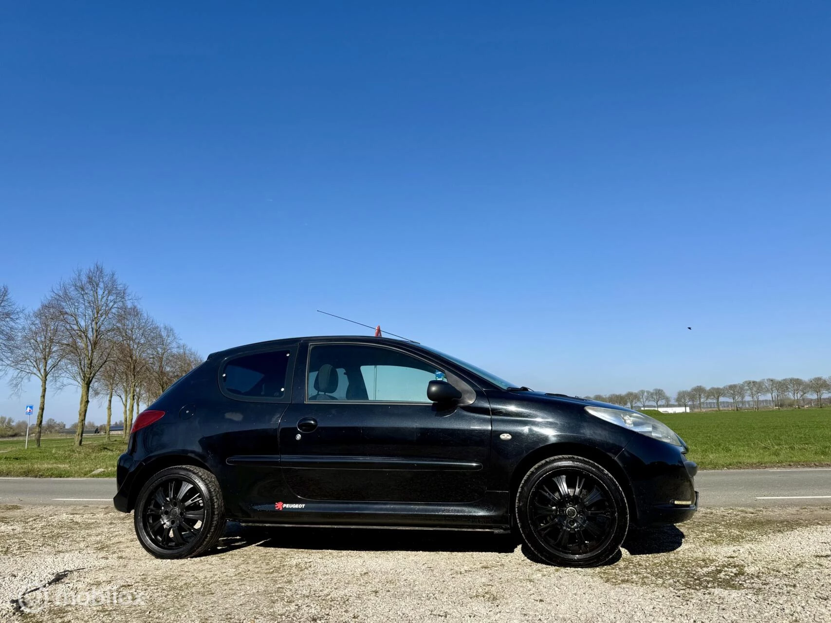 Hoofdafbeelding Peugeot 206