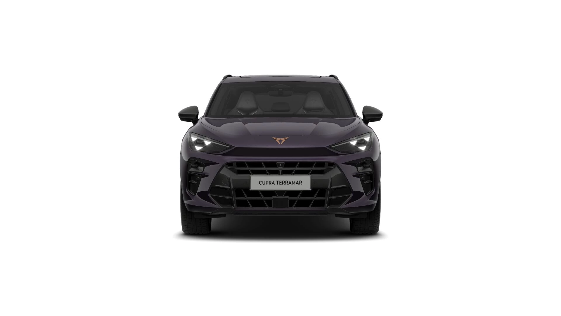 Hoofdafbeelding CUPRA Terramar