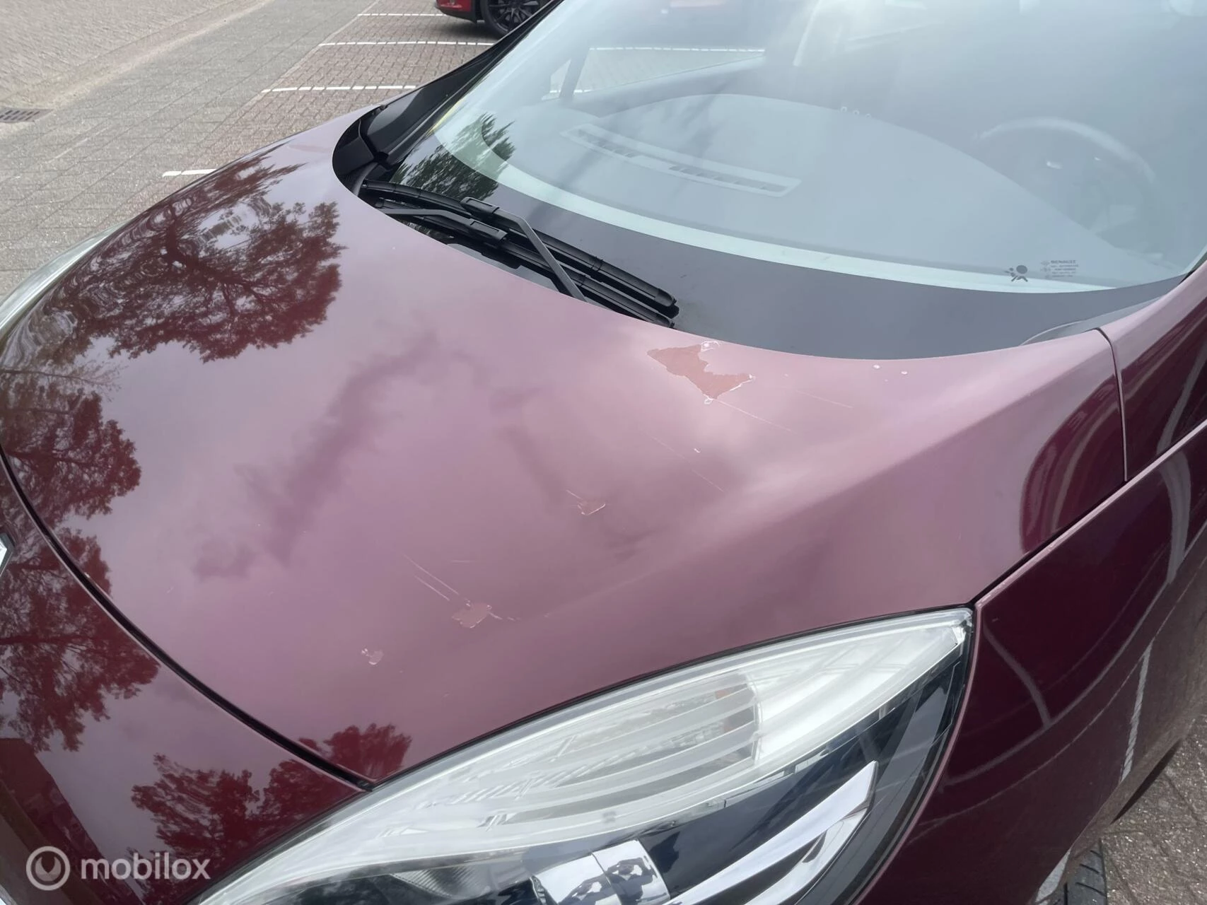 Hoofdafbeelding Renault Scénic