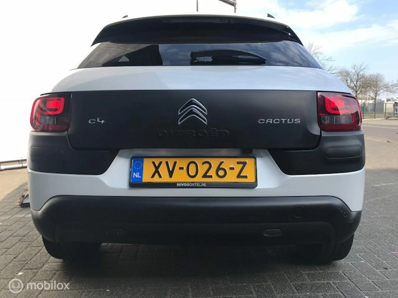 Hoofdafbeelding Citroën C4 Cactus