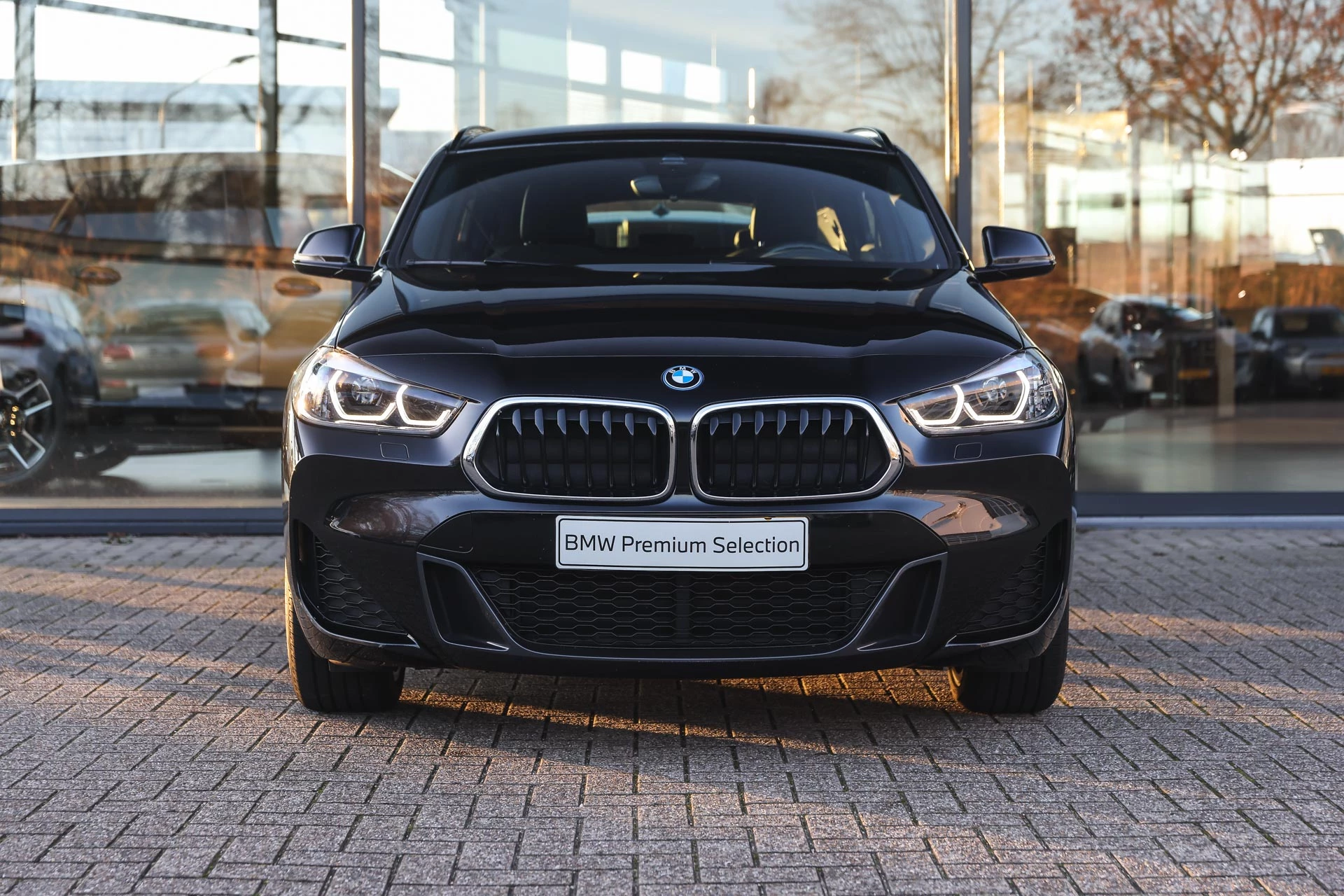 Hoofdafbeelding BMW X2