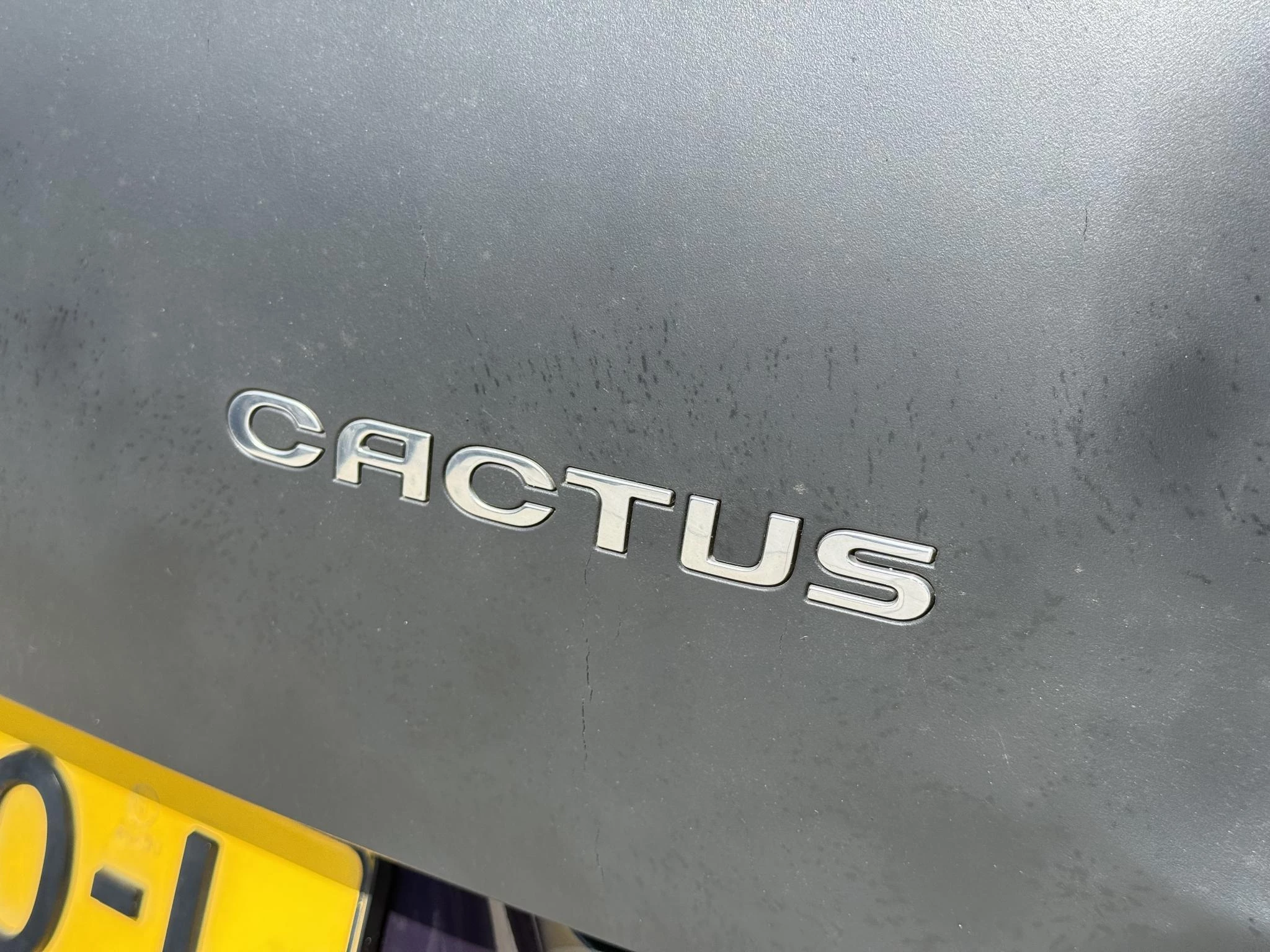 Hoofdafbeelding Citroën C4 Cactus