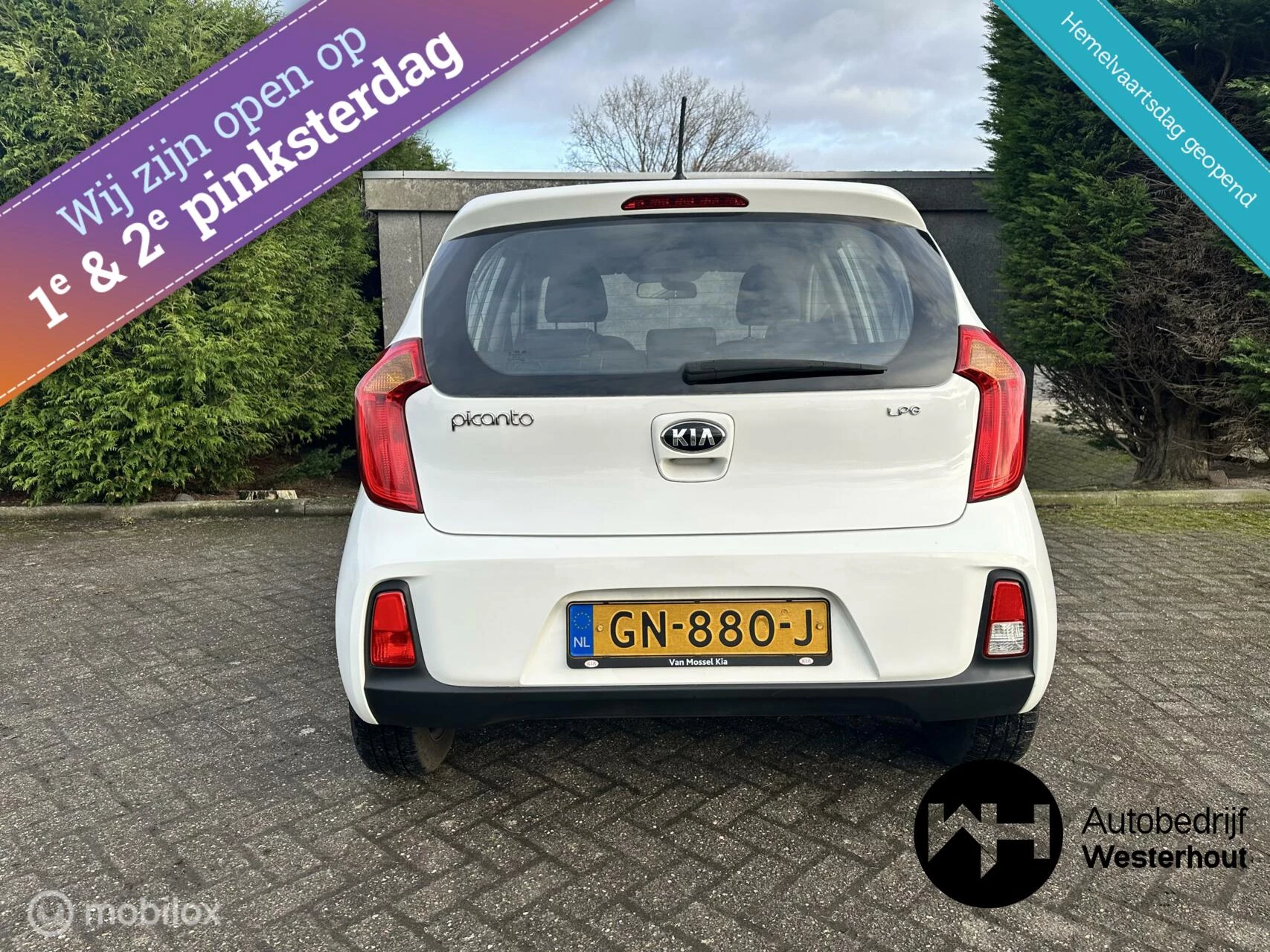 Hoofdafbeelding Kia Picanto