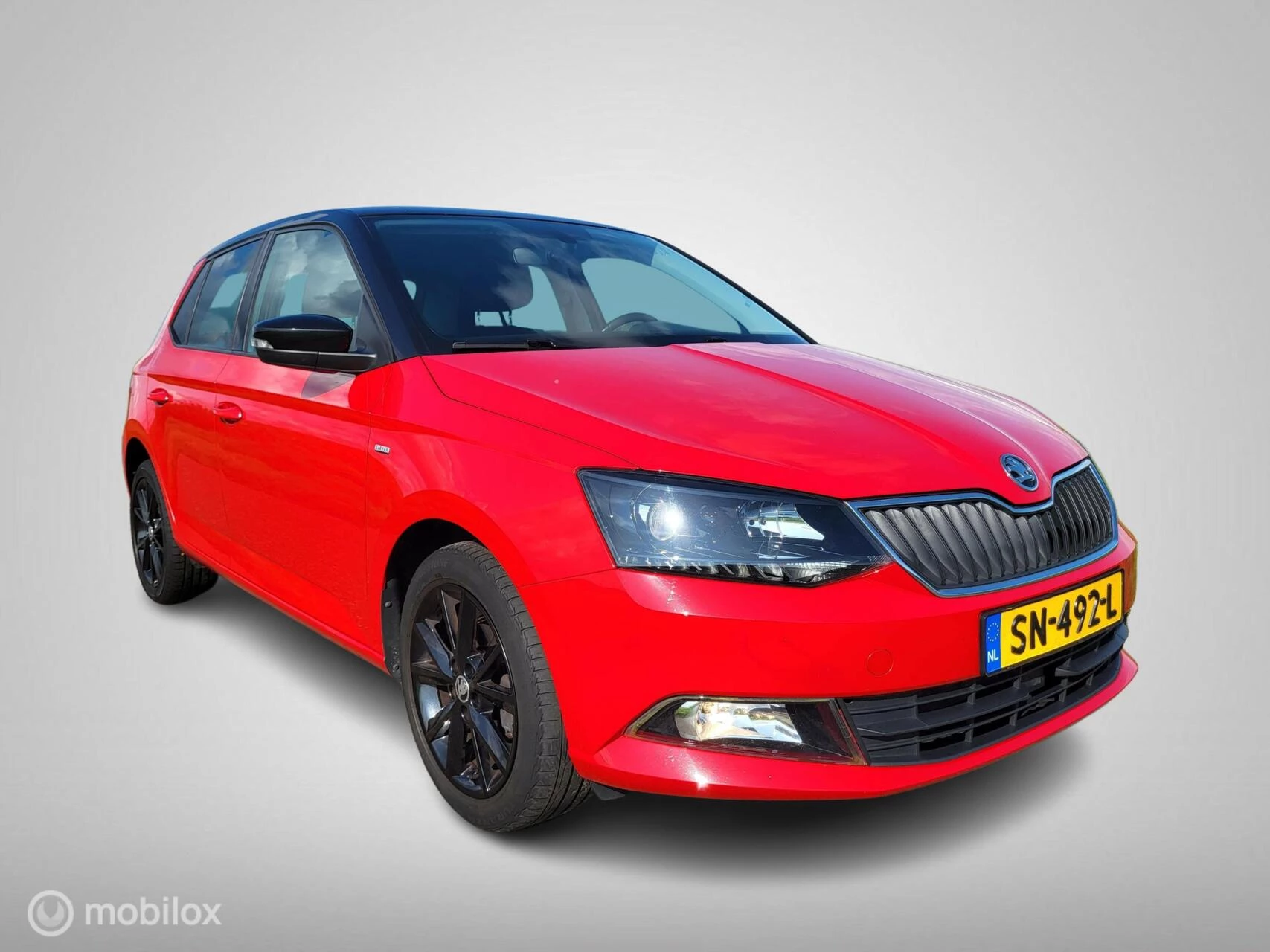 Hoofdafbeelding Škoda Fabia