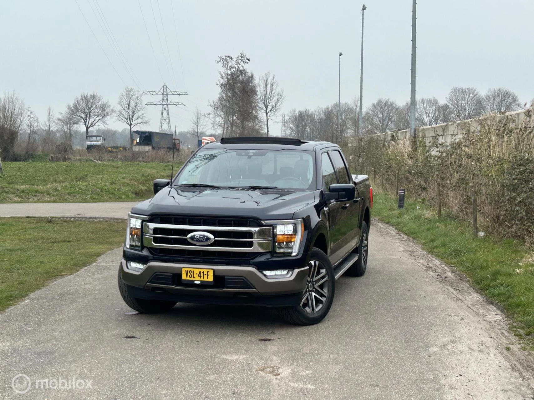 Hoofdafbeelding Ford F-150