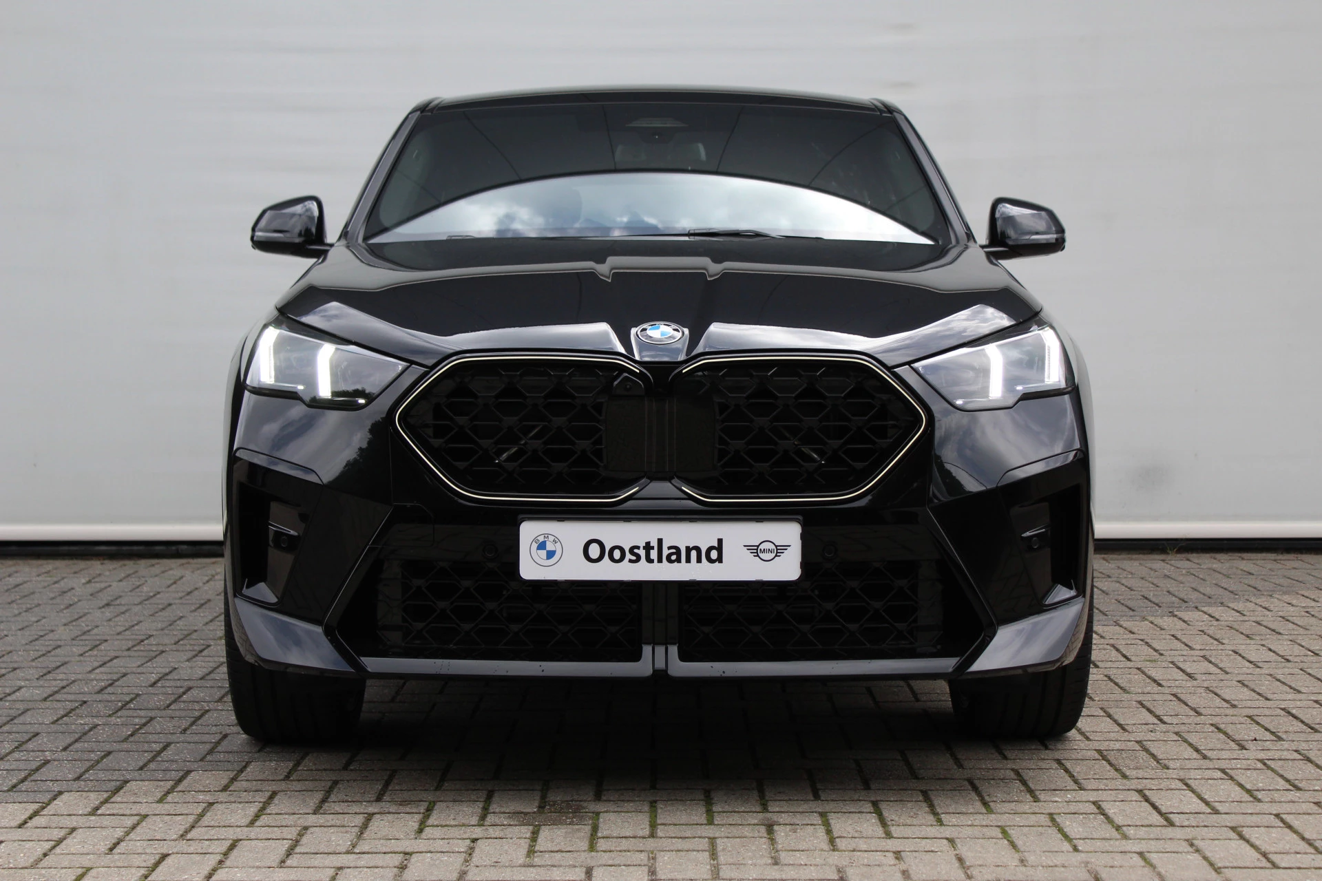 Hoofdafbeelding BMW X2