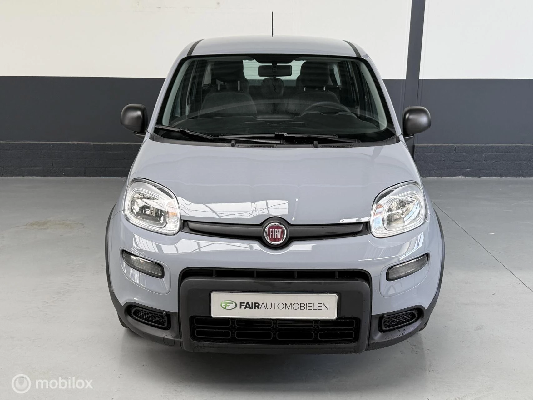 Hoofdafbeelding Fiat Panda