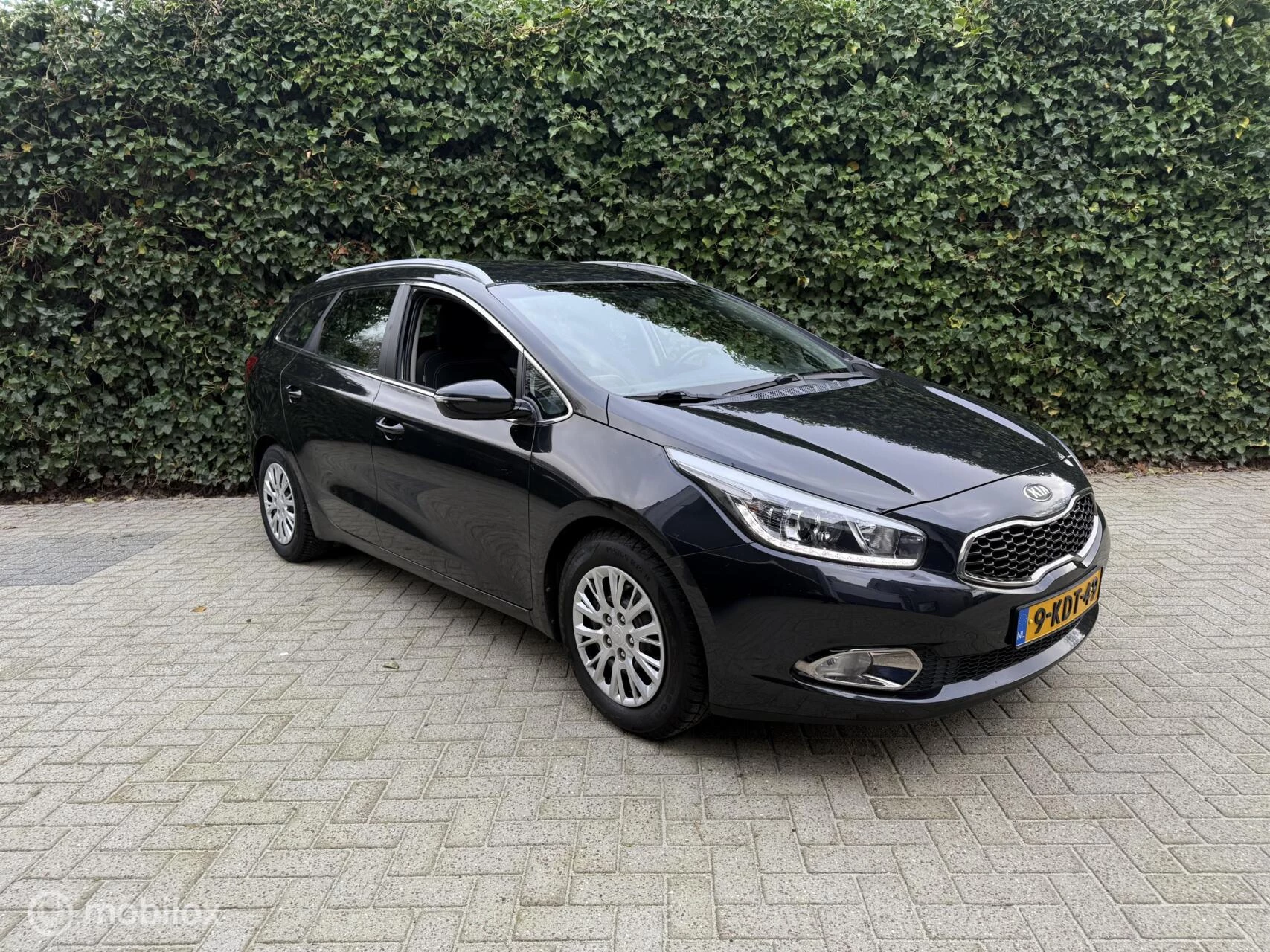 Hoofdafbeelding Kia cee'd
