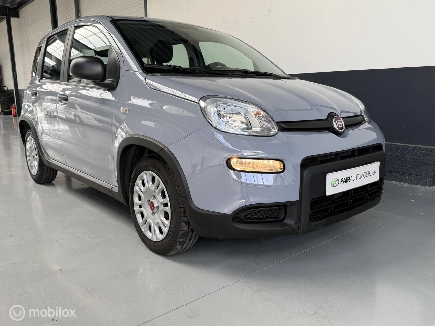 Hoofdafbeelding Fiat Panda