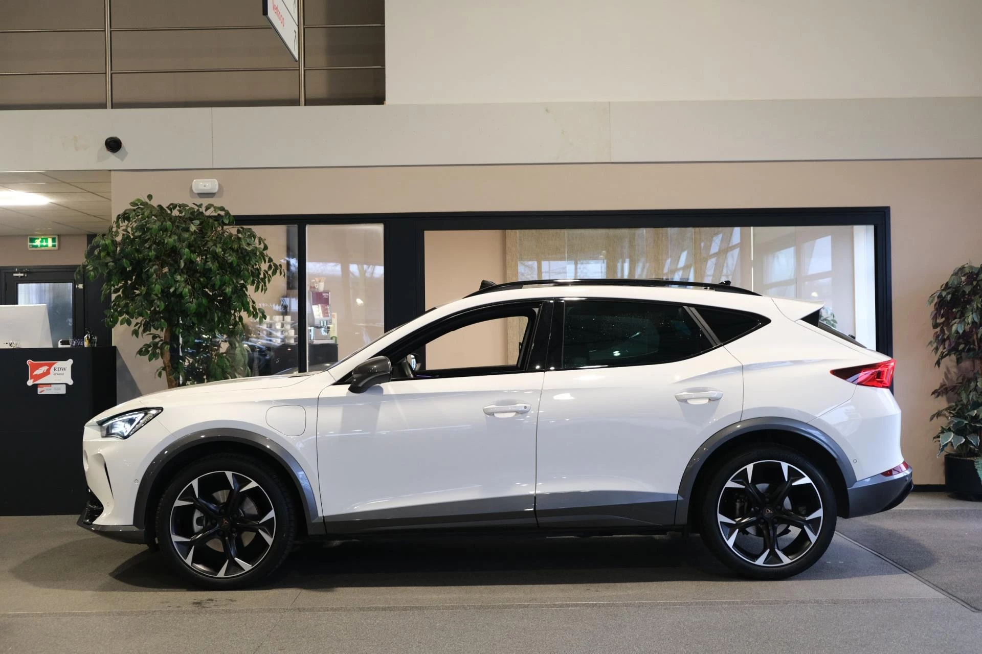 Hoofdafbeelding CUPRA Formentor