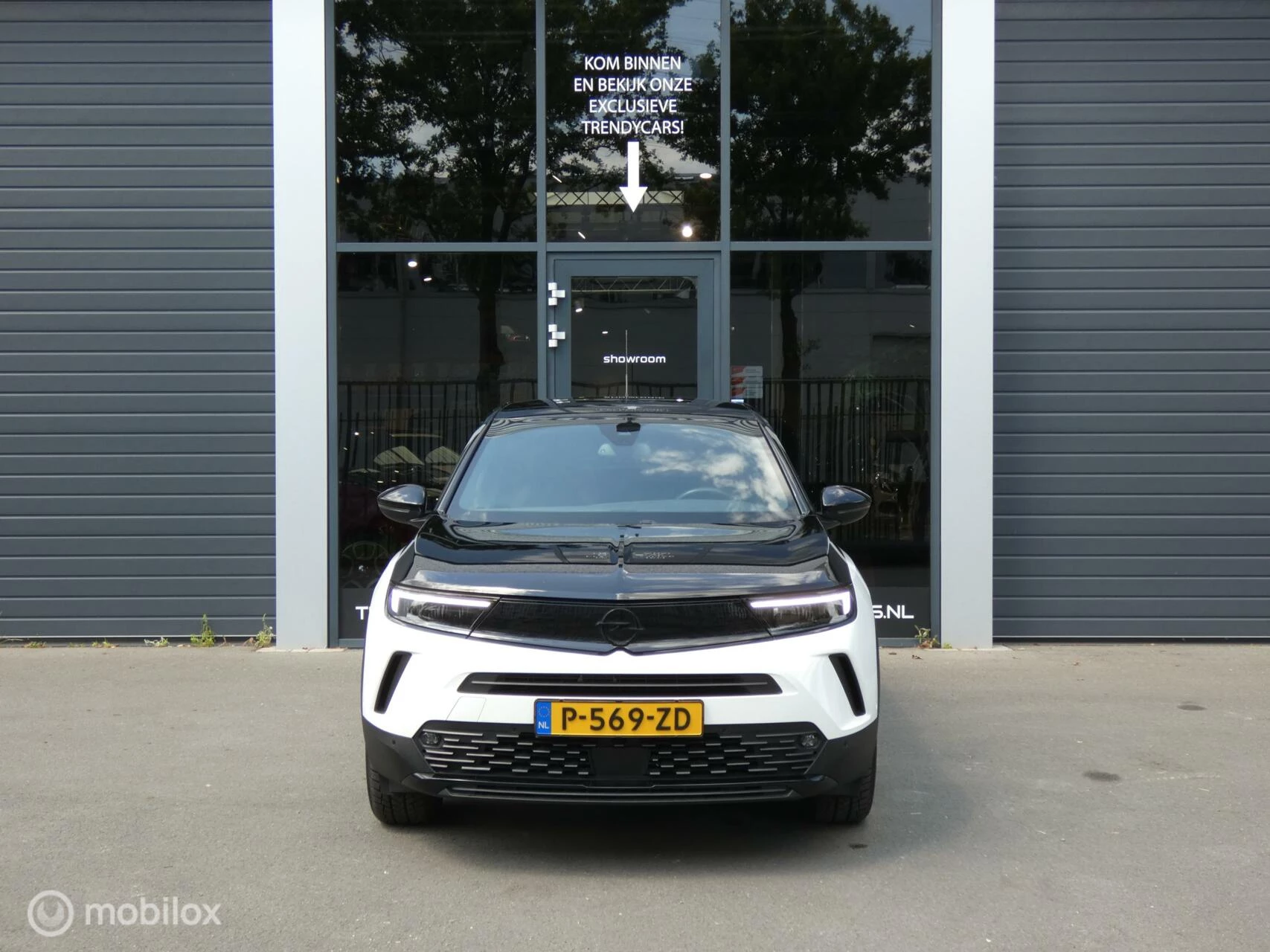 Hoofdafbeelding Opel Mokka-e