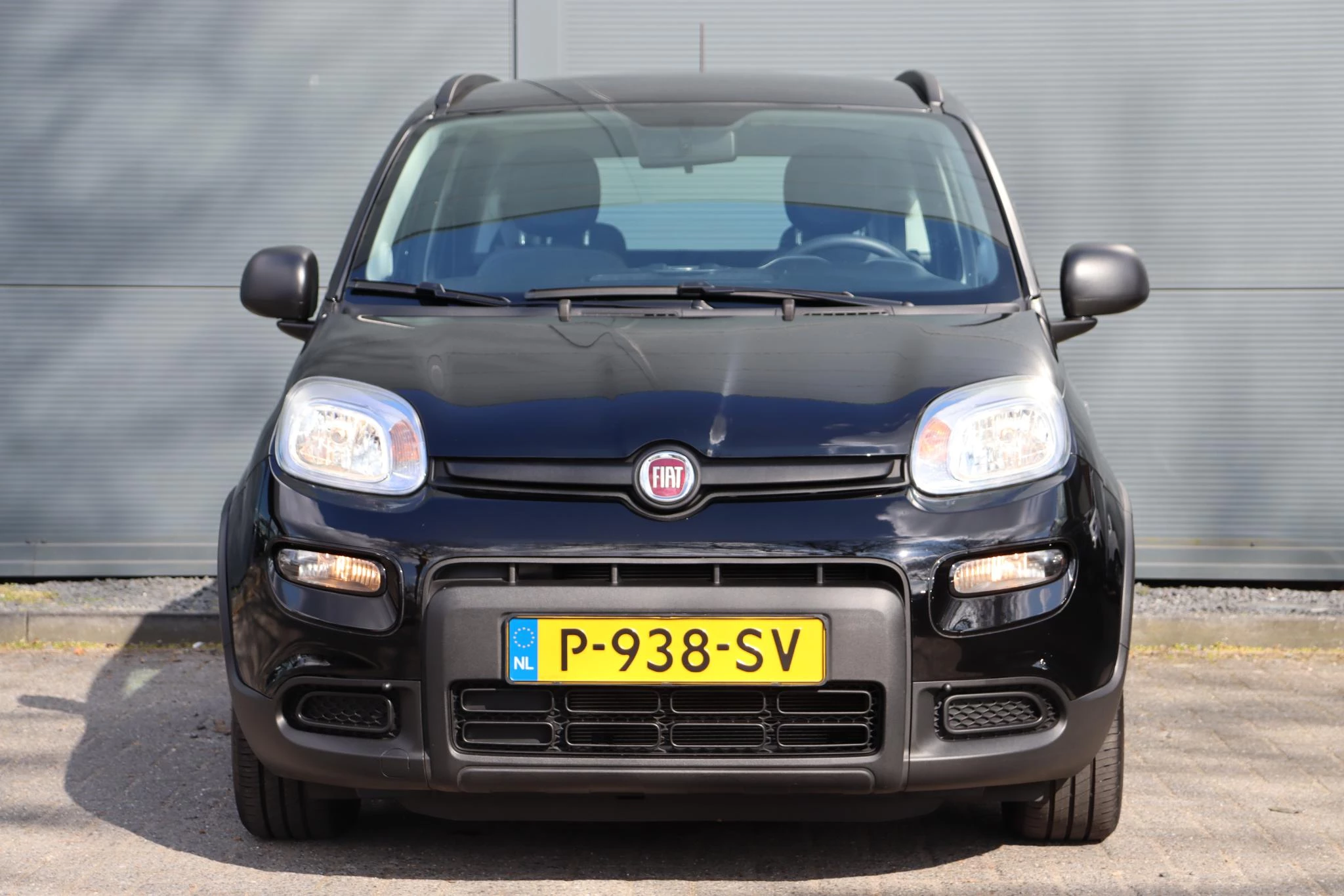 Hoofdafbeelding Fiat Panda