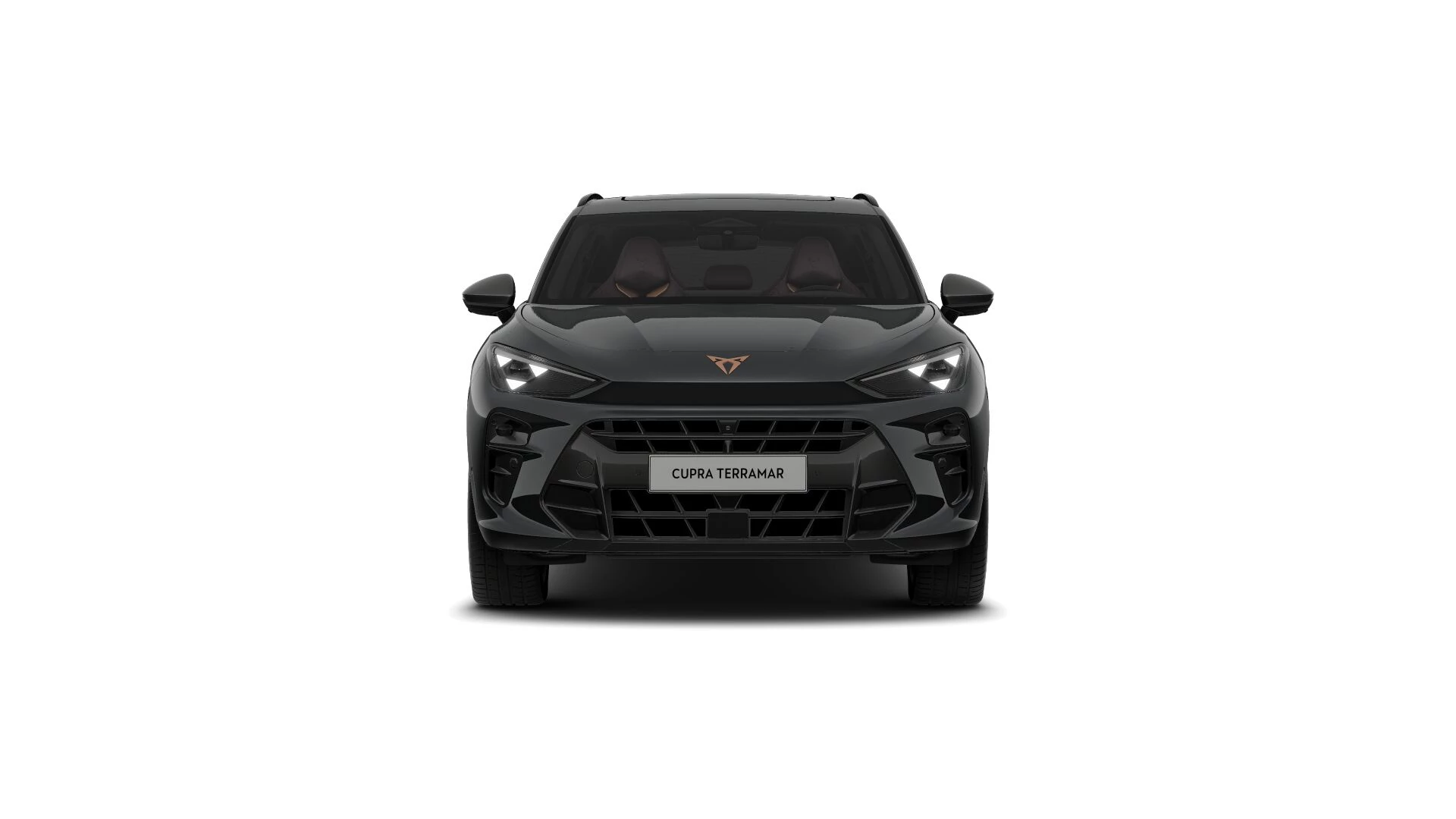 Hoofdafbeelding CUPRA Terramar