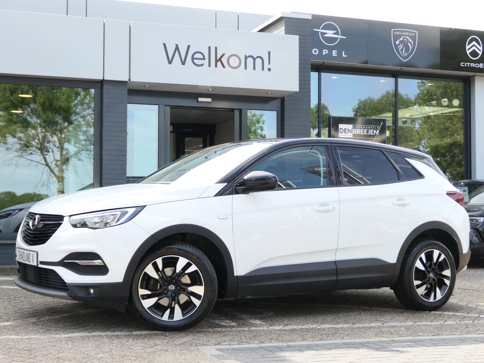 Hoofdafbeelding Opel Grandland X