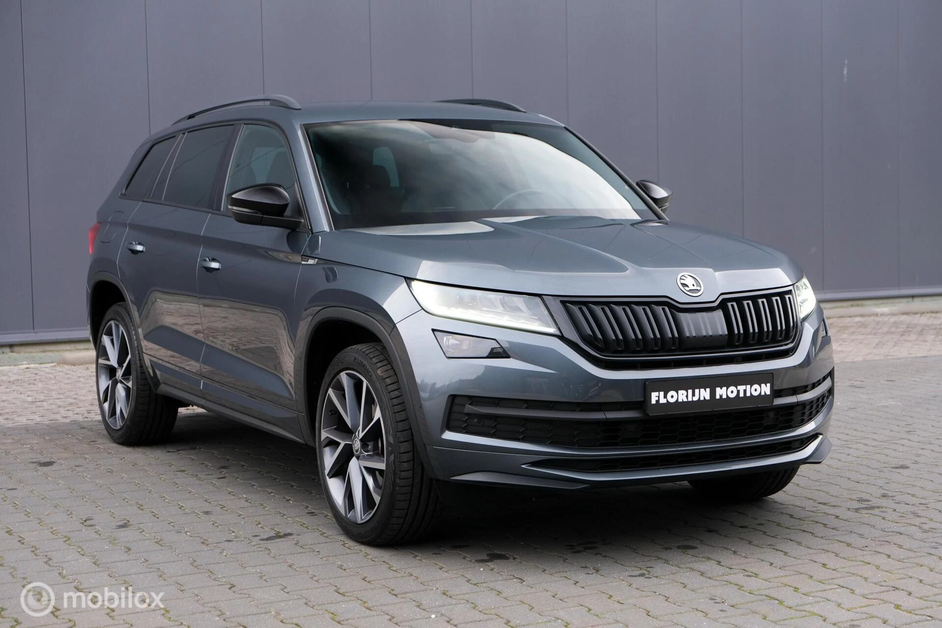 Hoofdafbeelding Škoda Kodiaq
