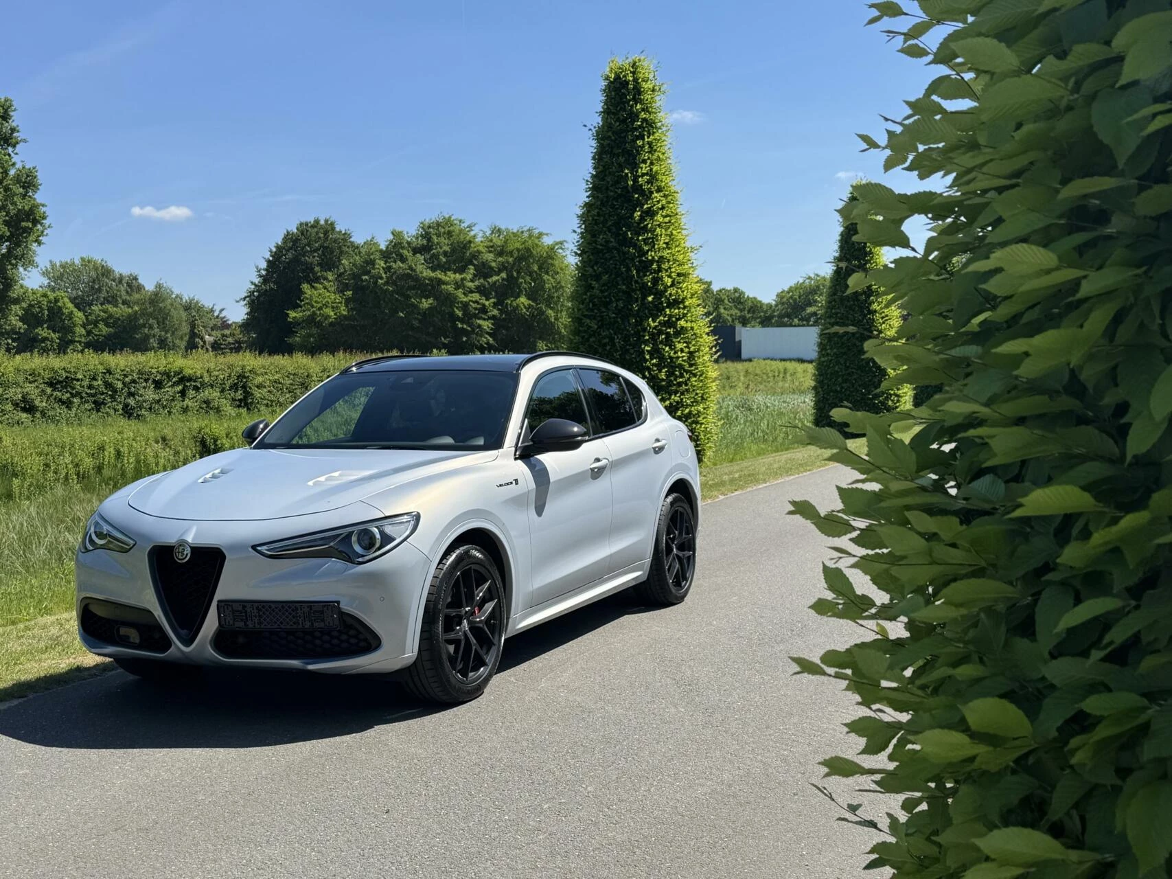 Hoofdafbeelding Alfa Romeo Stelvio