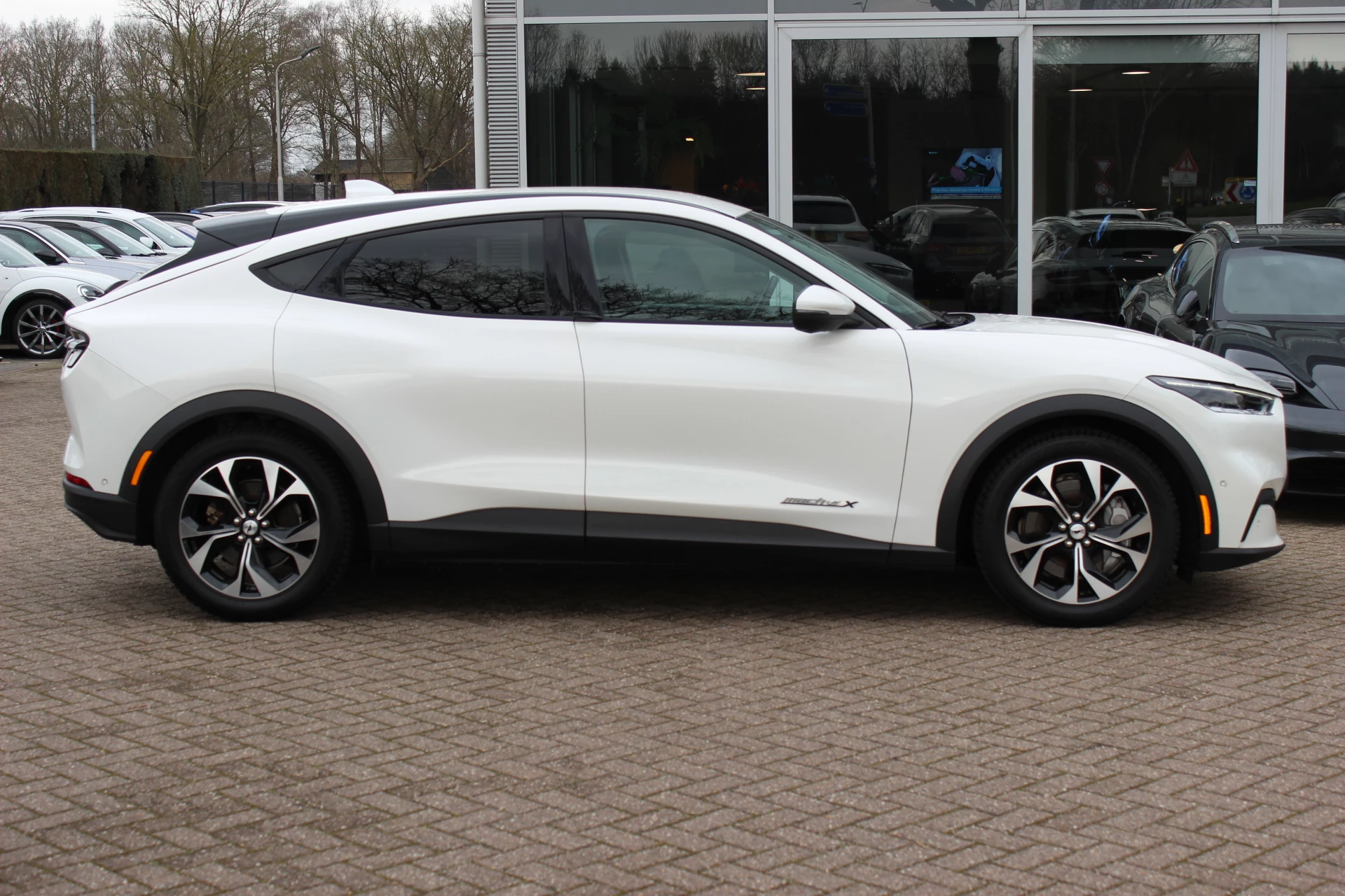 Hoofdafbeelding Ford Mustang Mach-E