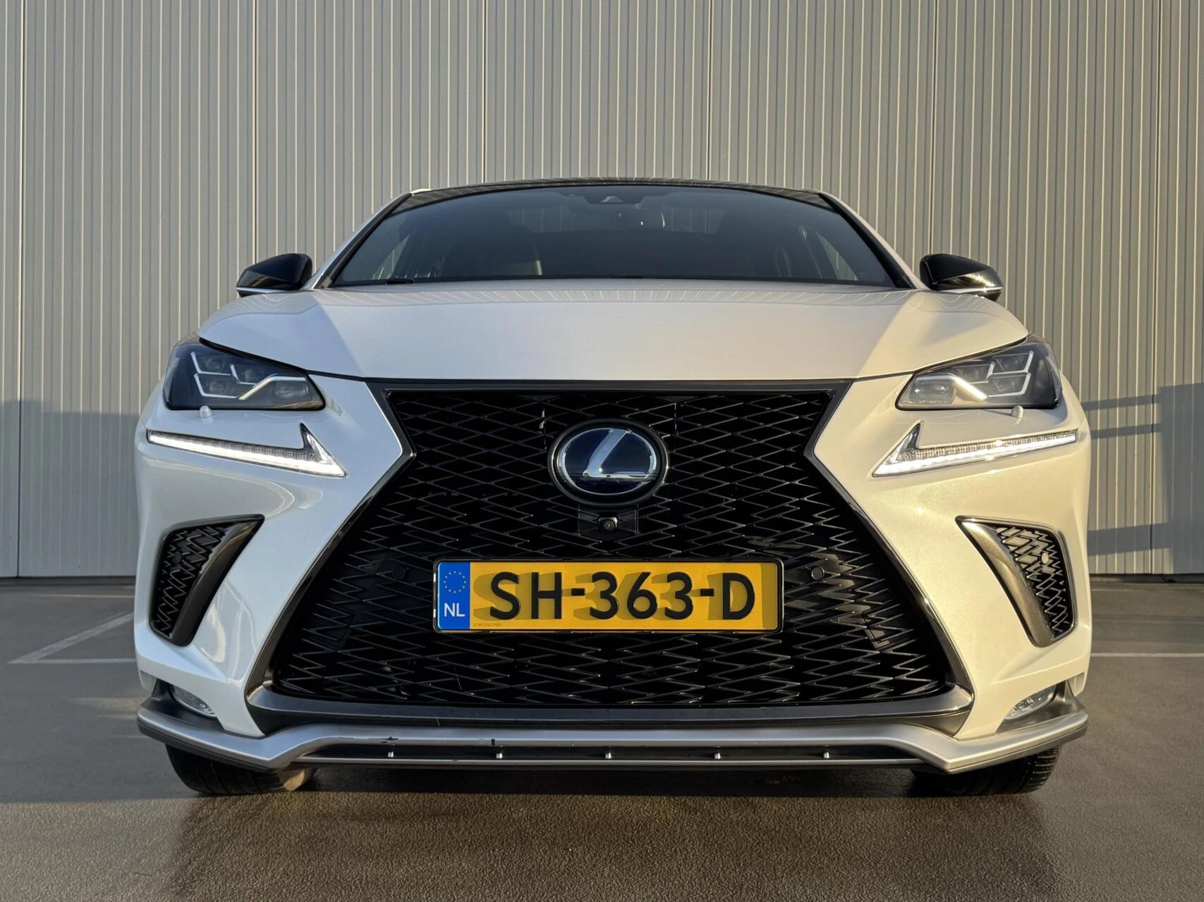 Hoofdafbeelding Lexus NX