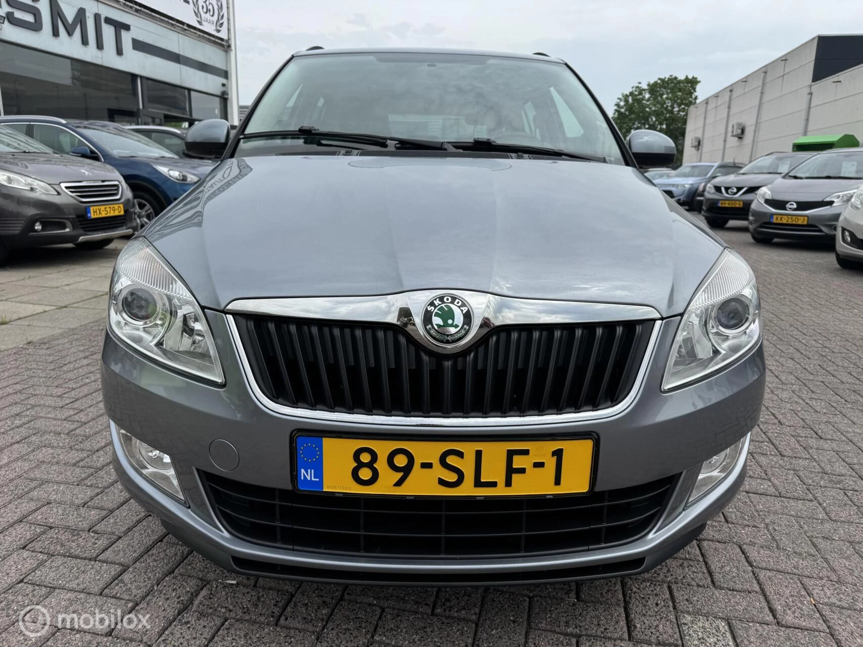 Hoofdafbeelding Škoda Fabia