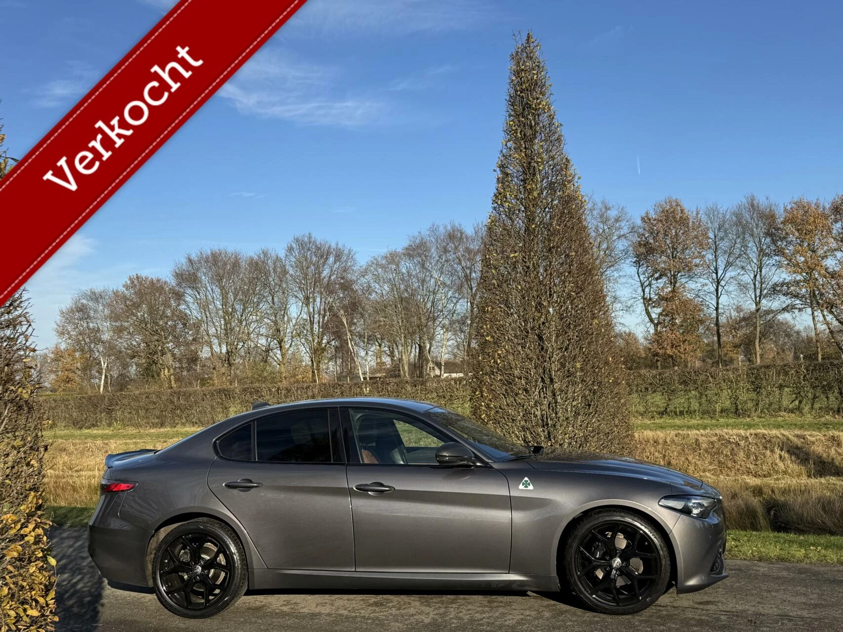 Hoofdafbeelding Alfa Romeo Giulia