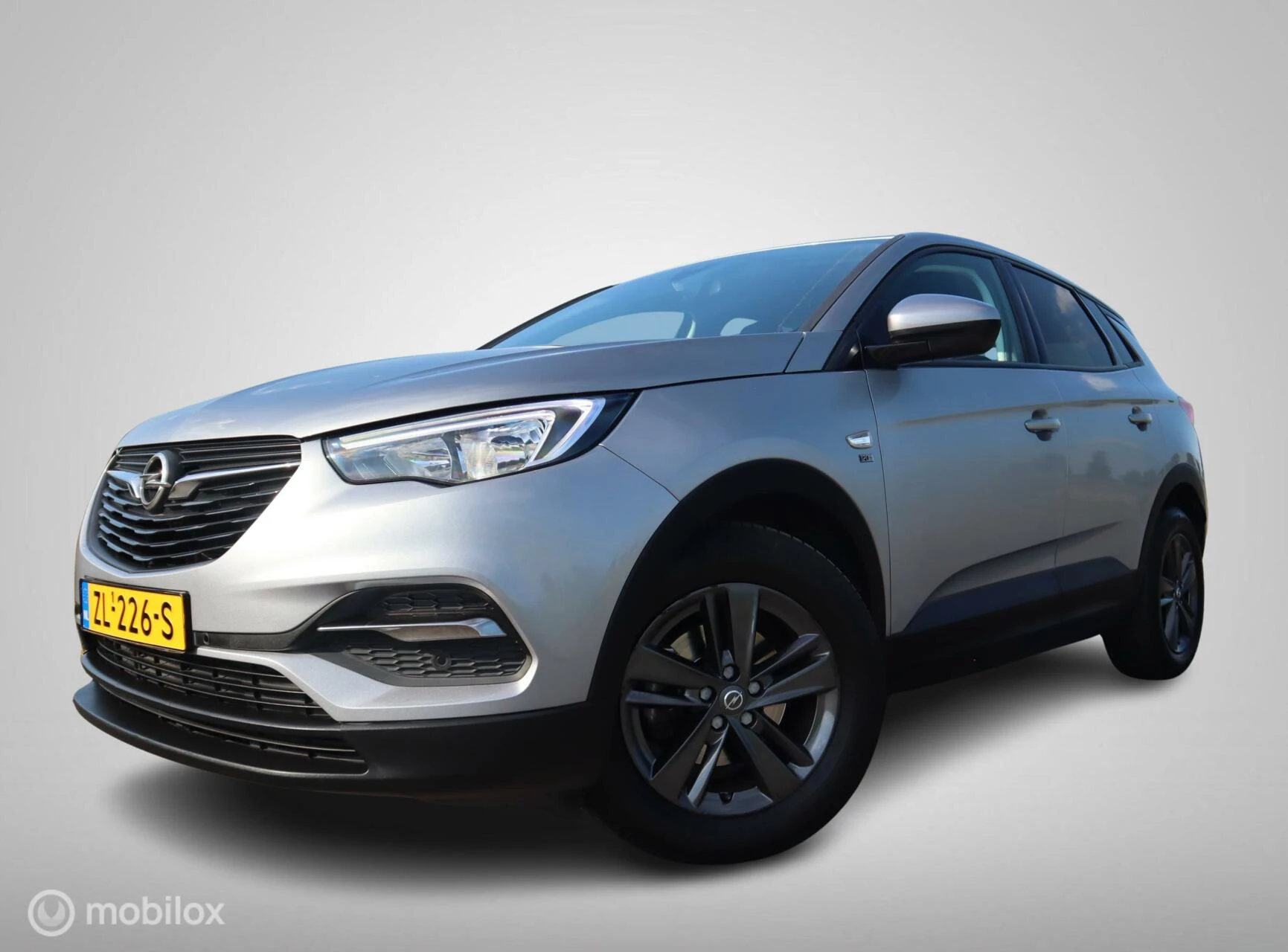 Hoofdafbeelding Opel Grandland X