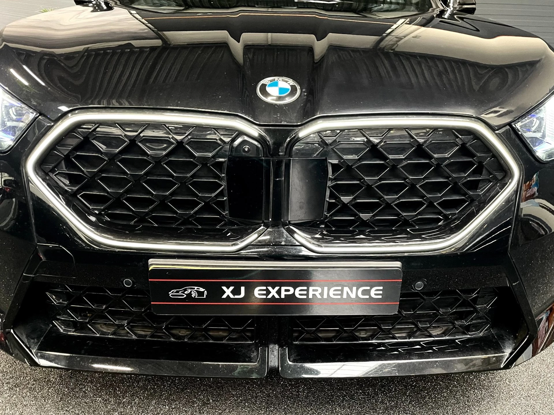 Hoofdafbeelding BMW X2