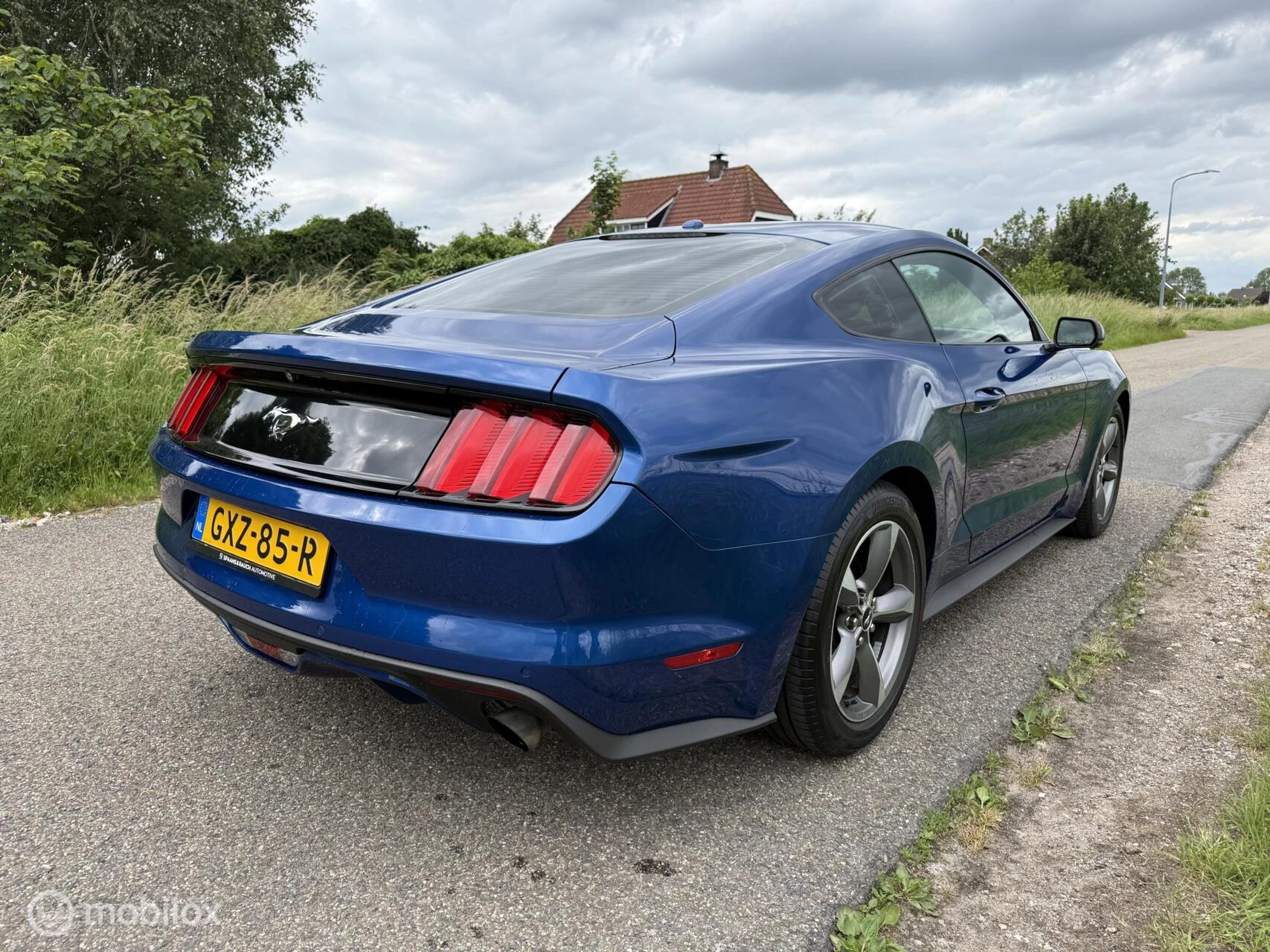 Hoofdafbeelding Ford Mustang