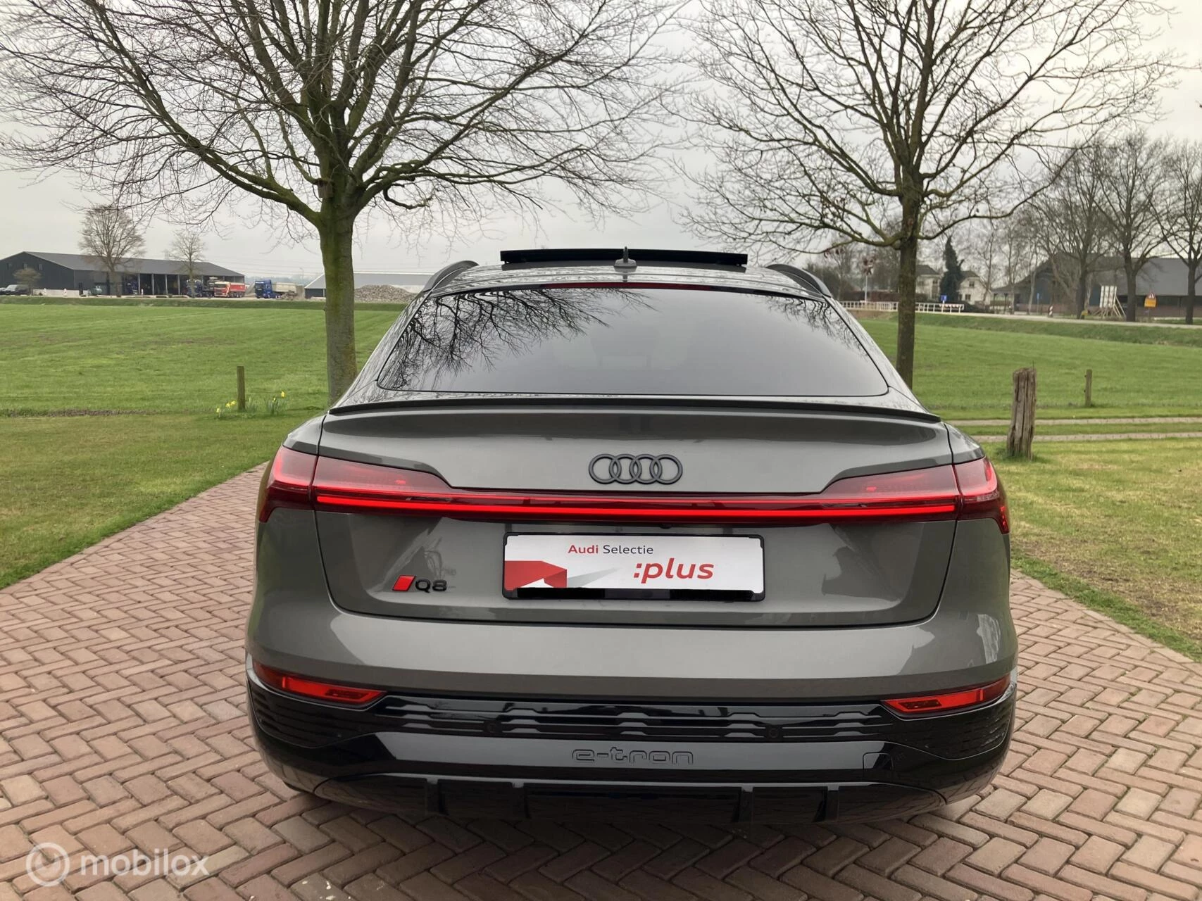 Hoofdafbeelding Audi Q8 Sportback e-tron