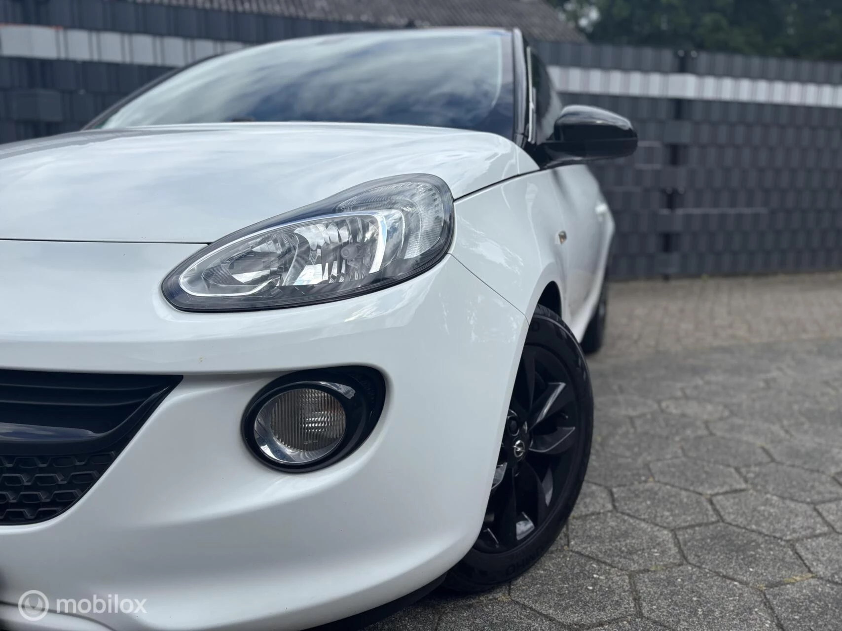 Hoofdafbeelding Opel ADAM