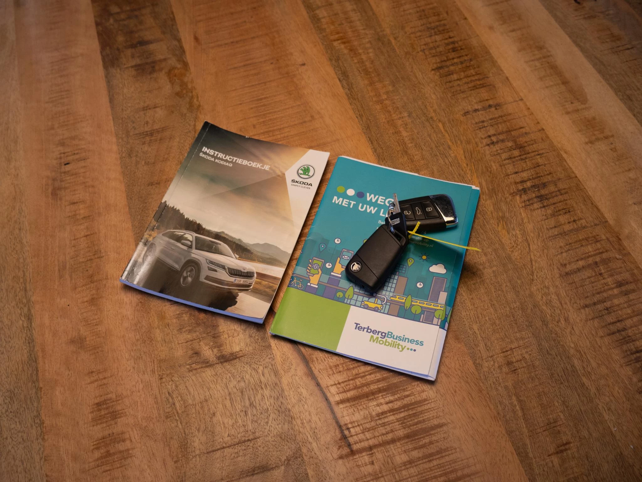 Hoofdafbeelding Škoda Kodiaq