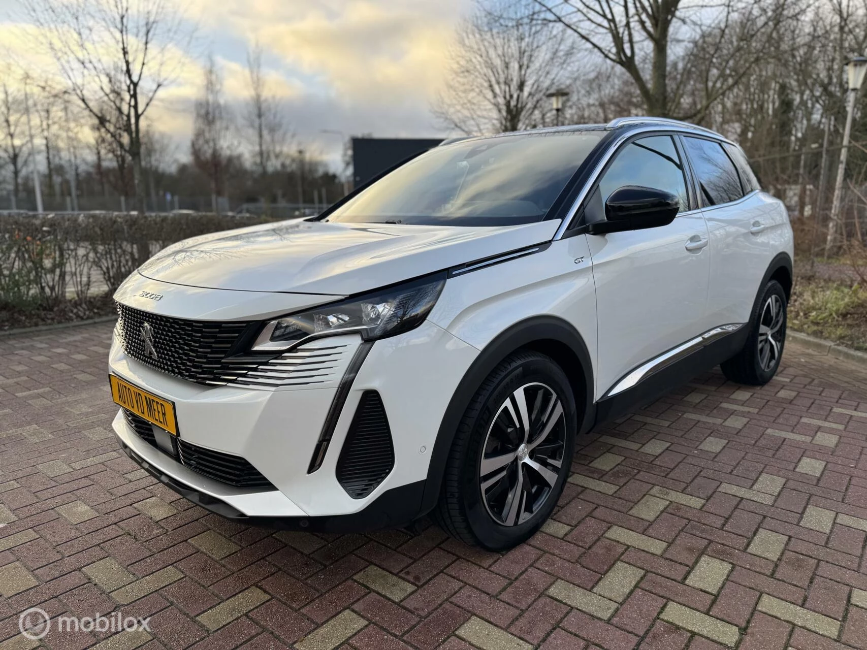 Hoofdafbeelding Peugeot 3008