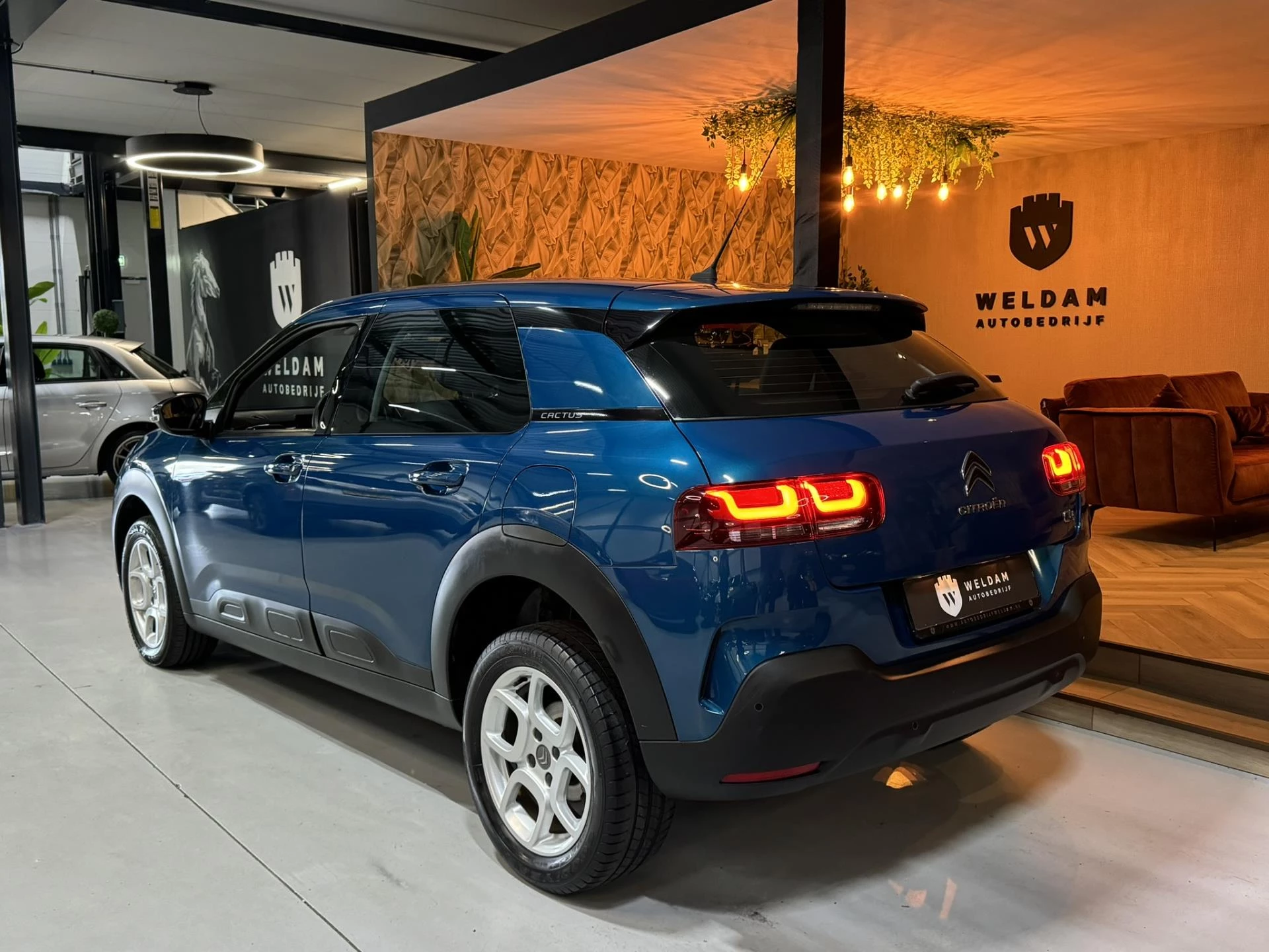 Hoofdafbeelding Citroën C4 Cactus
