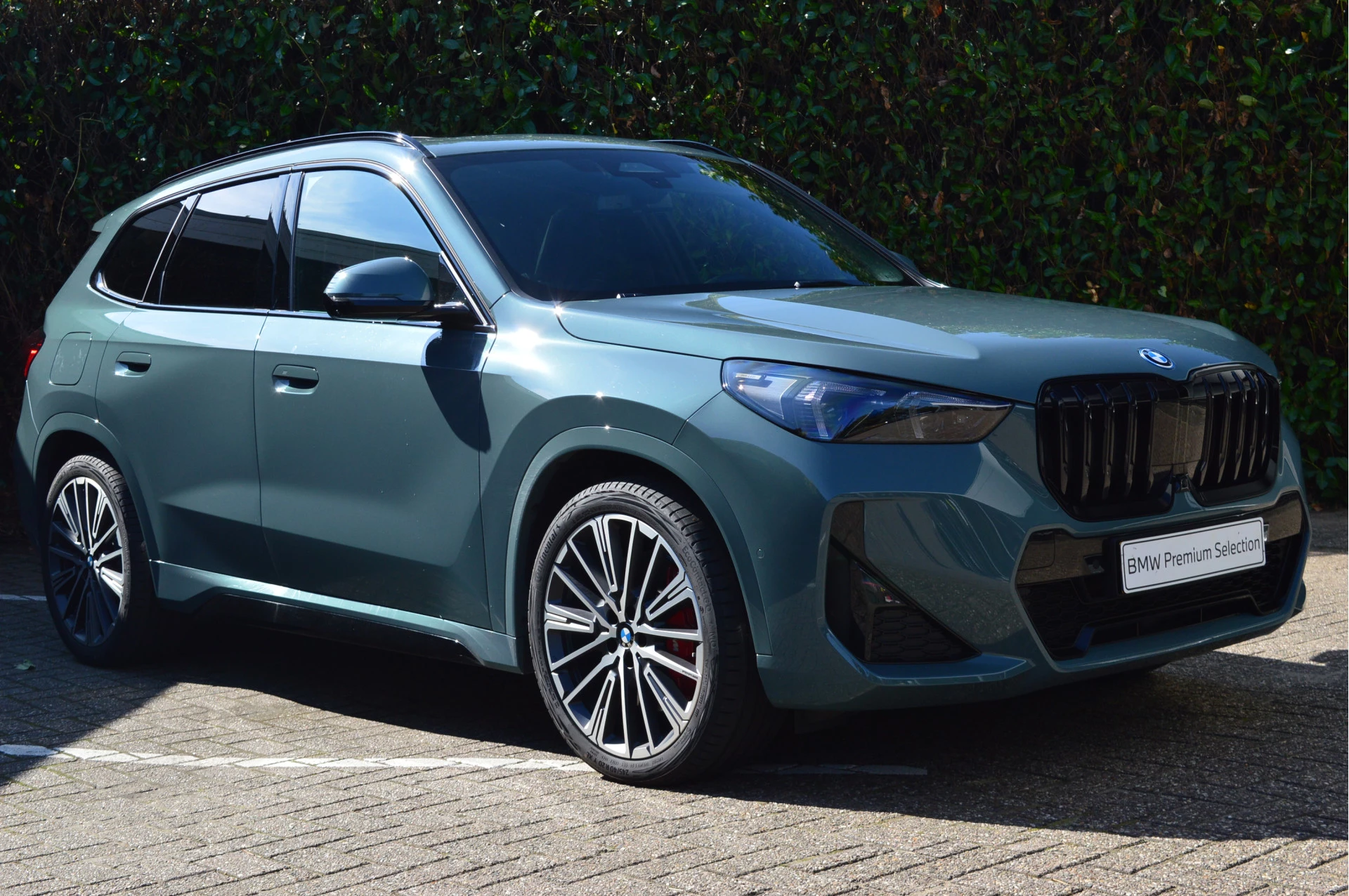 Hoofdafbeelding BMW X1