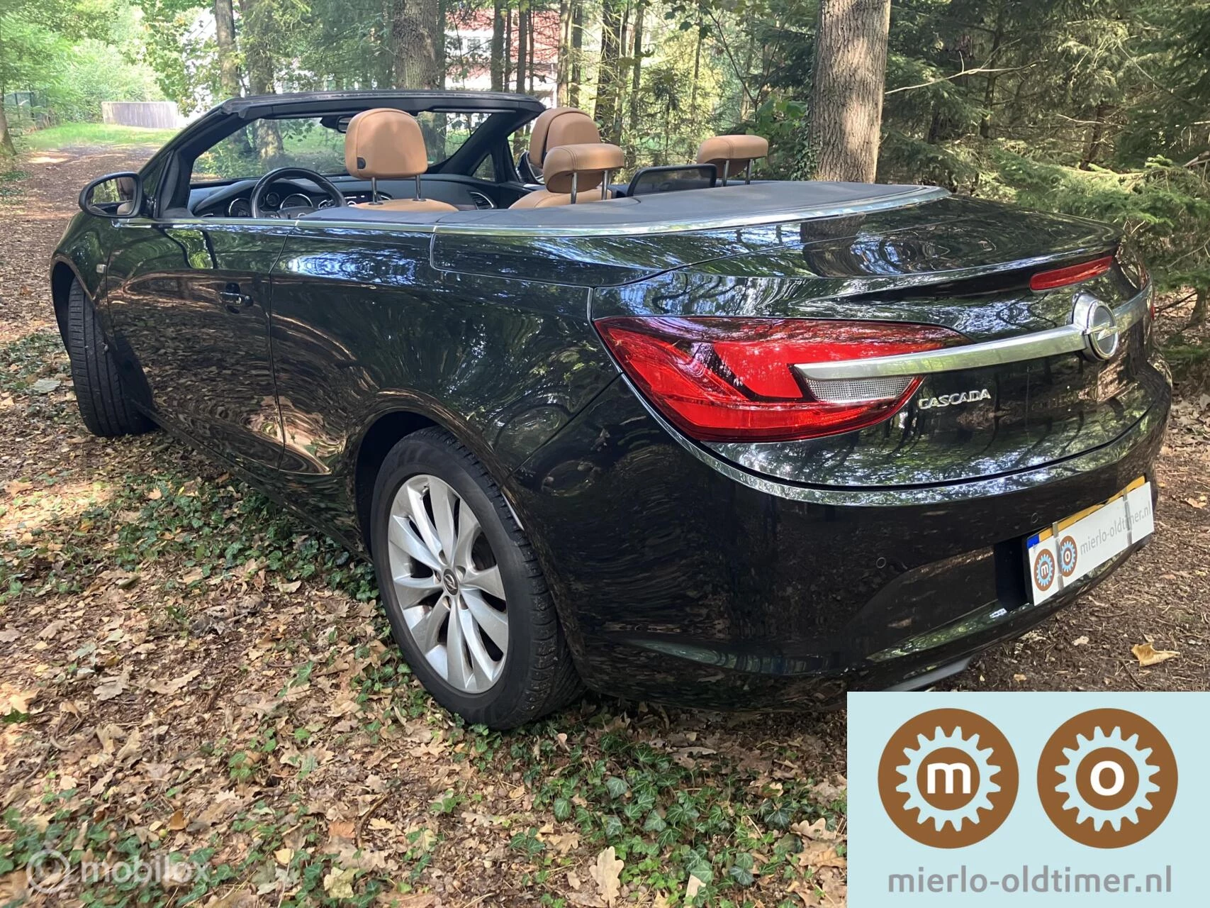 Hoofdafbeelding Opel Cascada