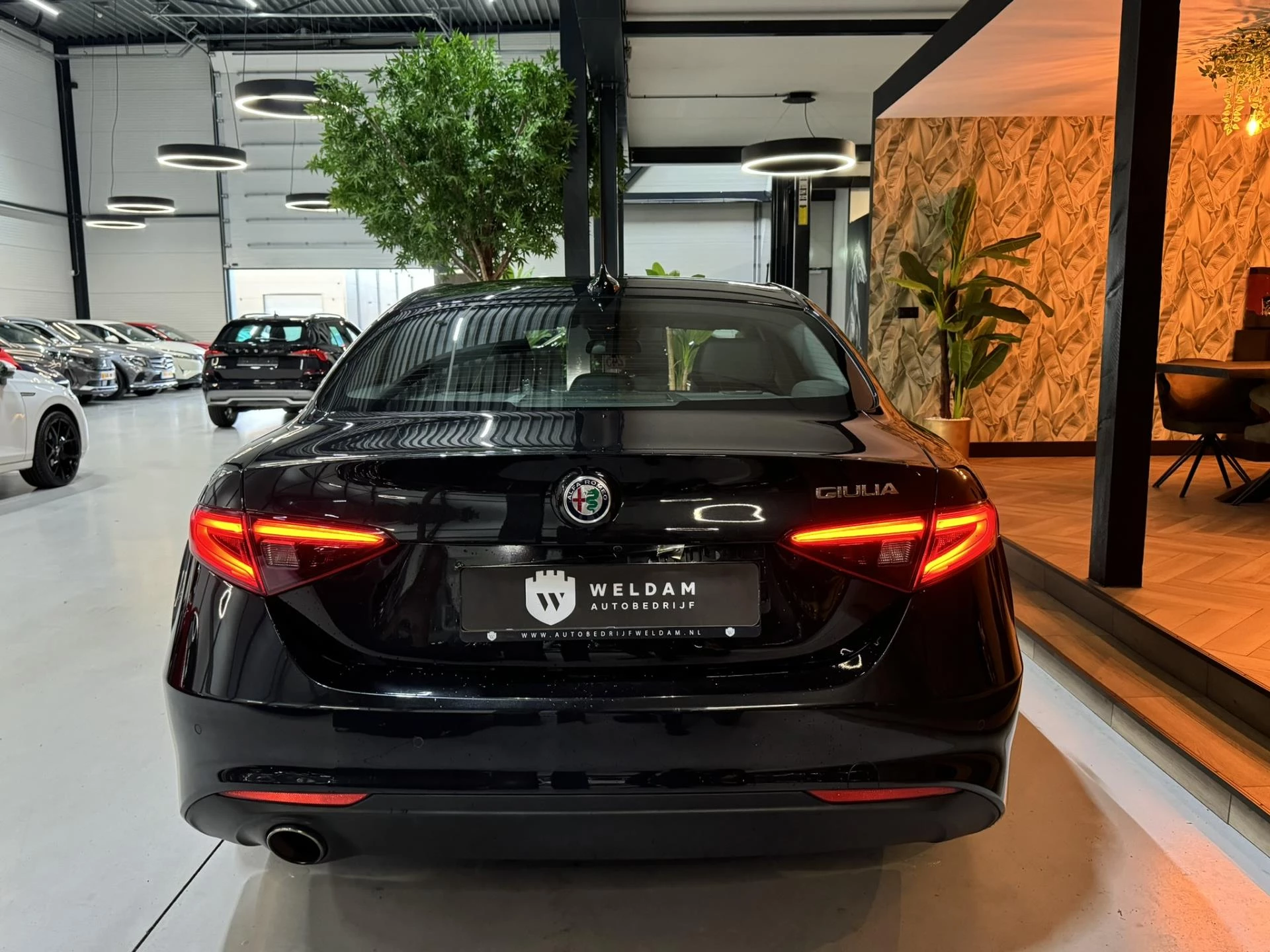 Hoofdafbeelding Alfa Romeo Giulia