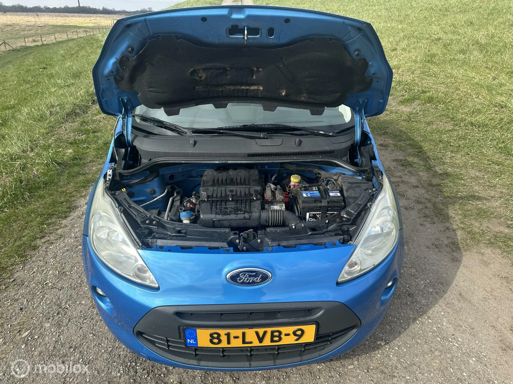Hoofdafbeelding Ford Ka