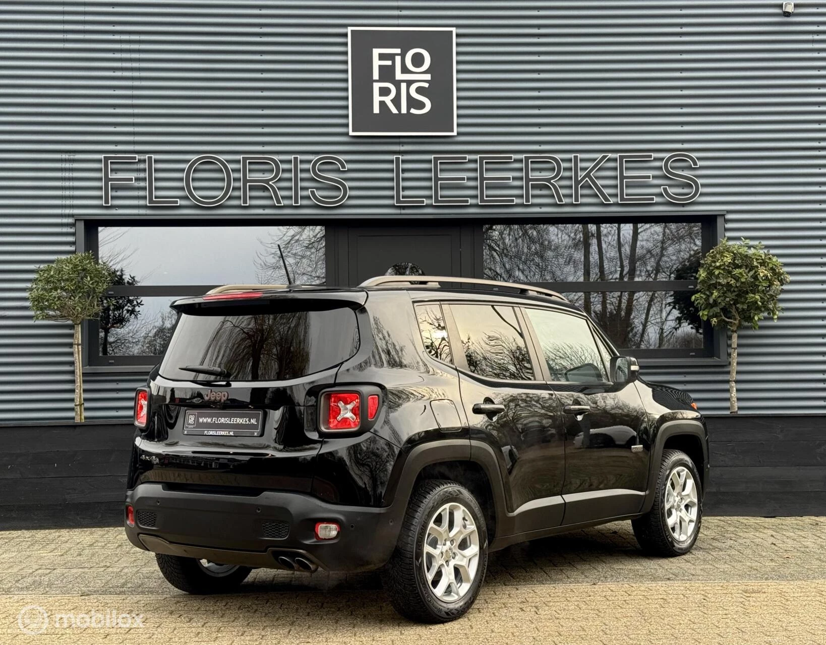 Hoofdafbeelding Jeep Renegade